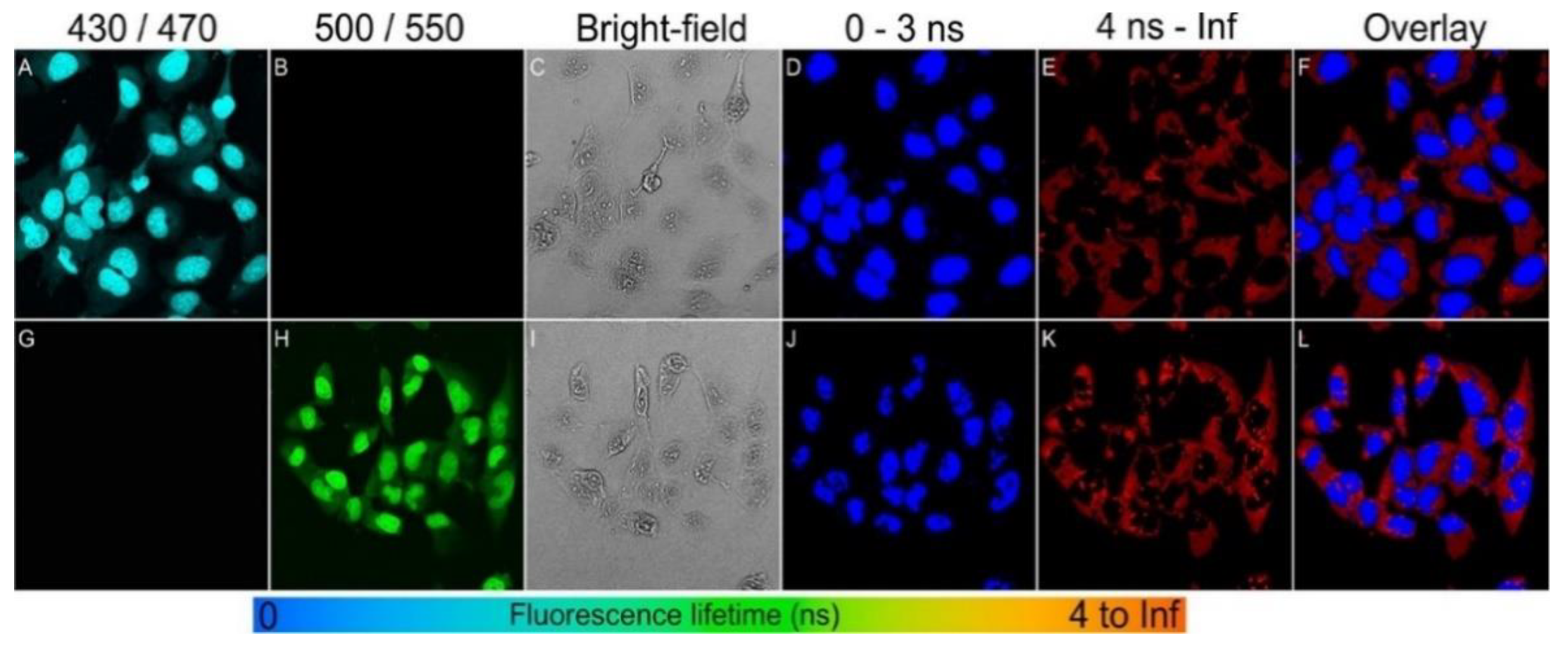 Carbon 07 00035 g009