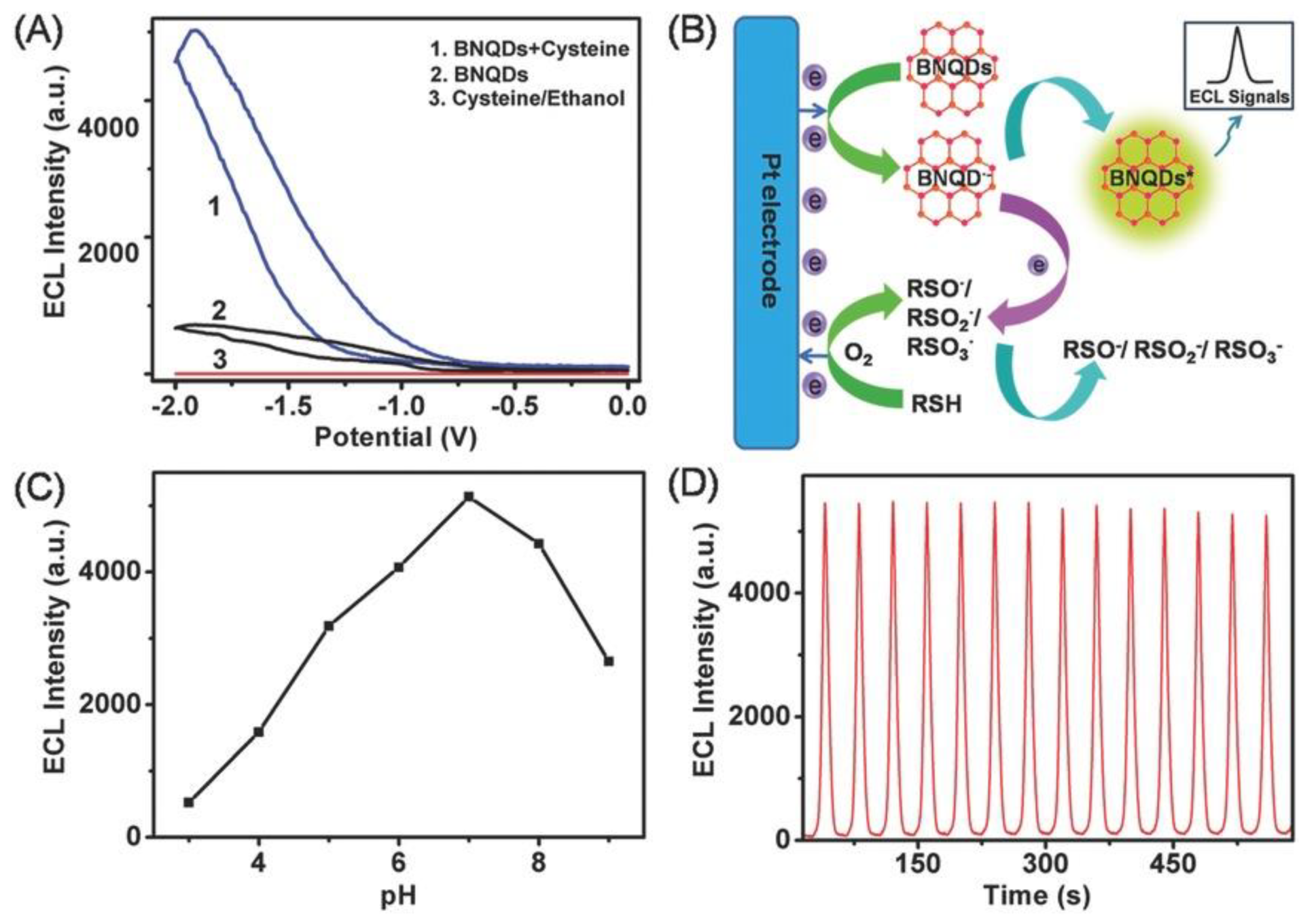 Carbon 07 00035 g013