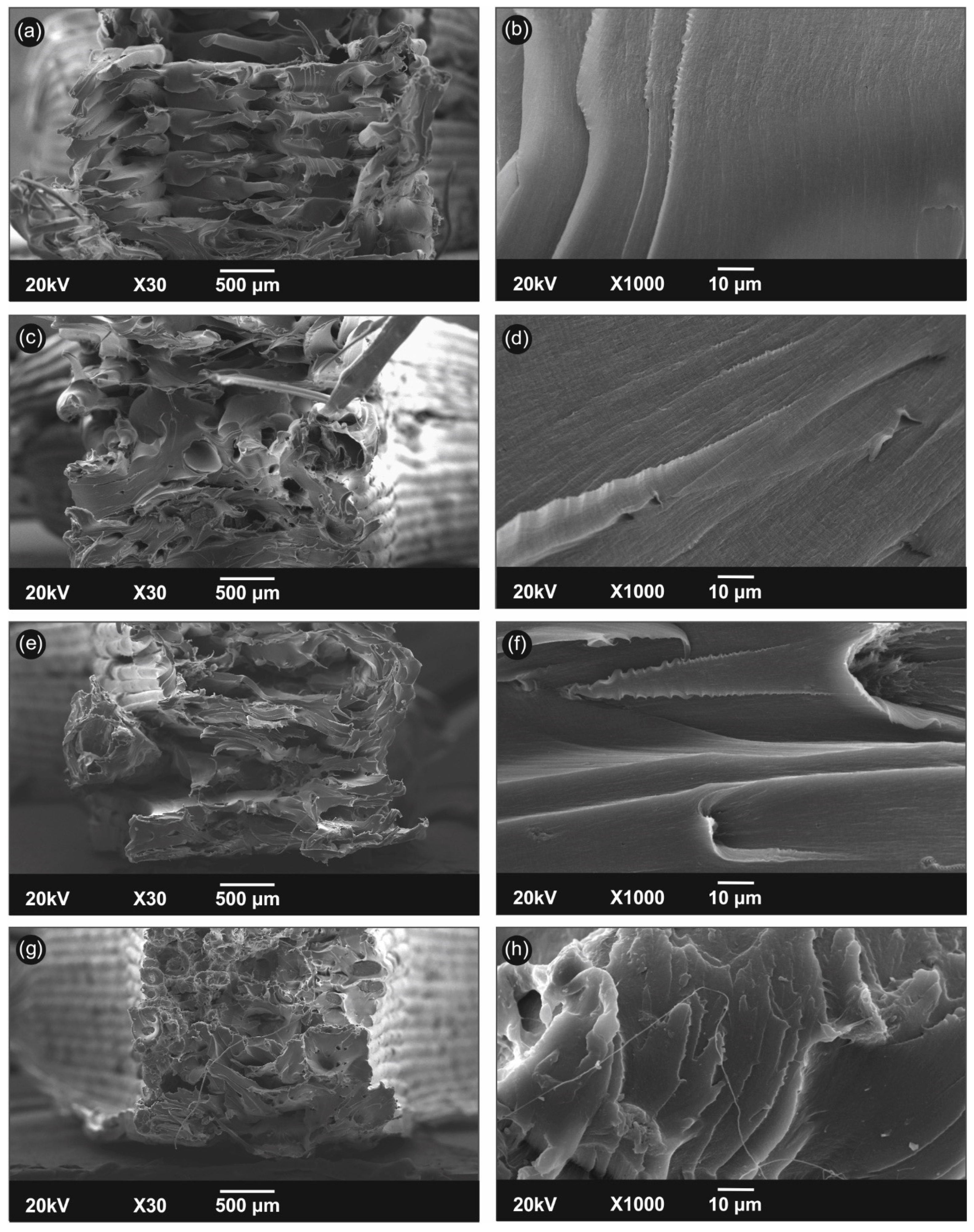 Carbon 07 00038 g010 Carbon 07 00038 g010
