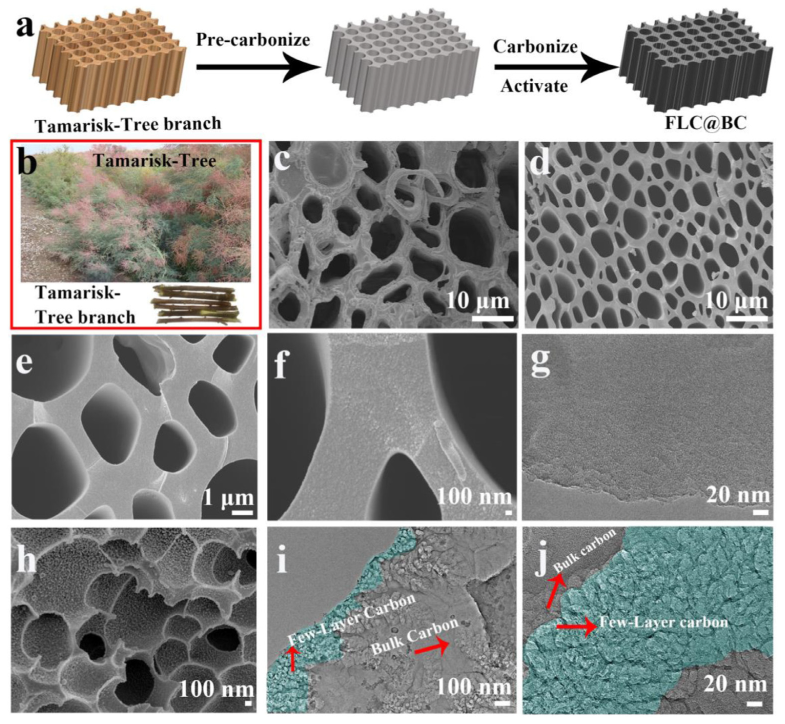 Carbon 07 00039 g001 Carbon 07 00039 g001