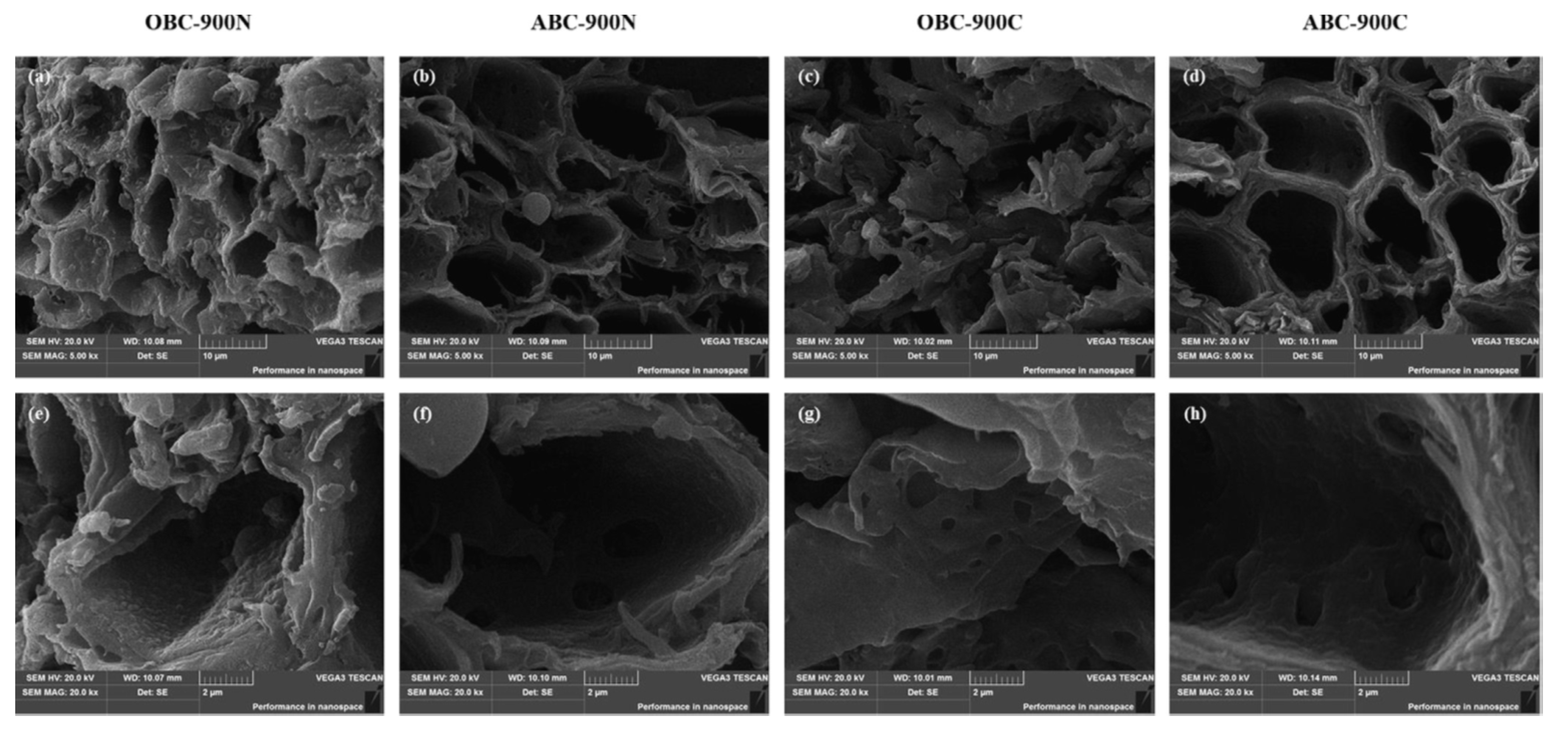 Carbon 07 00039 g003 Carbon 07 00039 g003