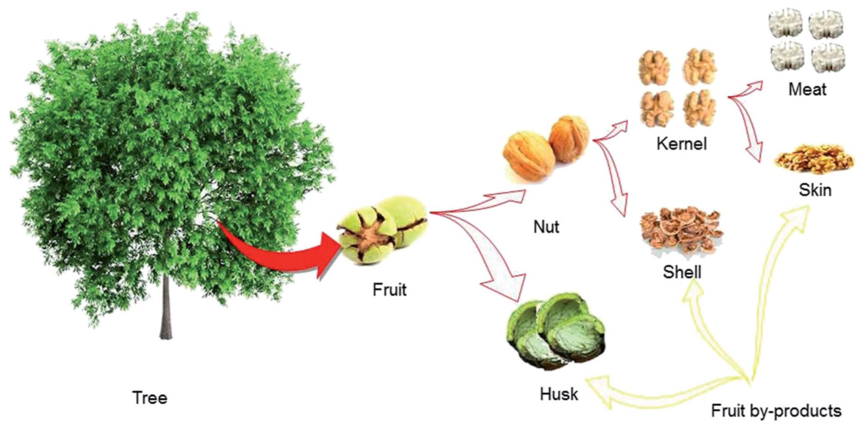 Carbon 07 00039 g008 Carbon 07 00039 g008