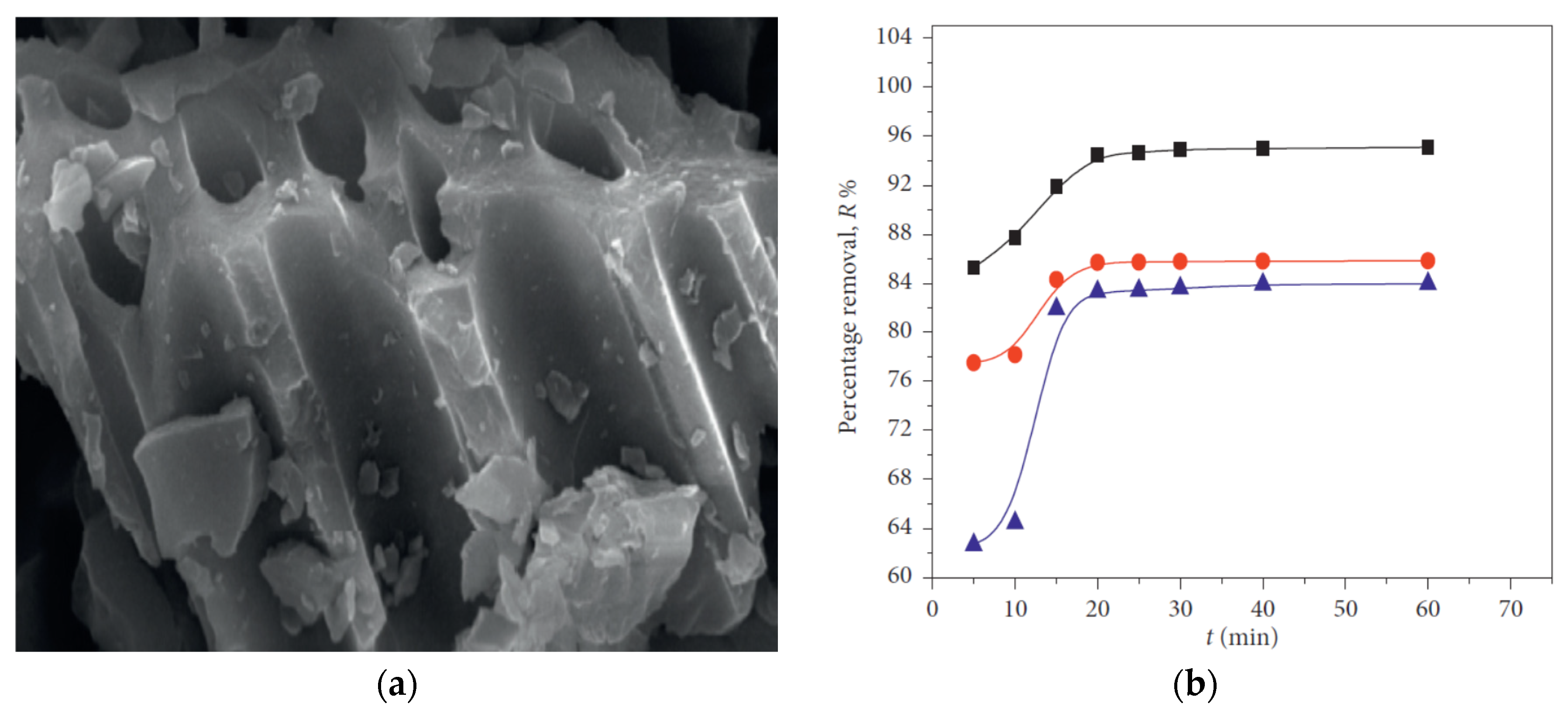 Carbon 07 00039 g009 Carbon 07 00039 g009