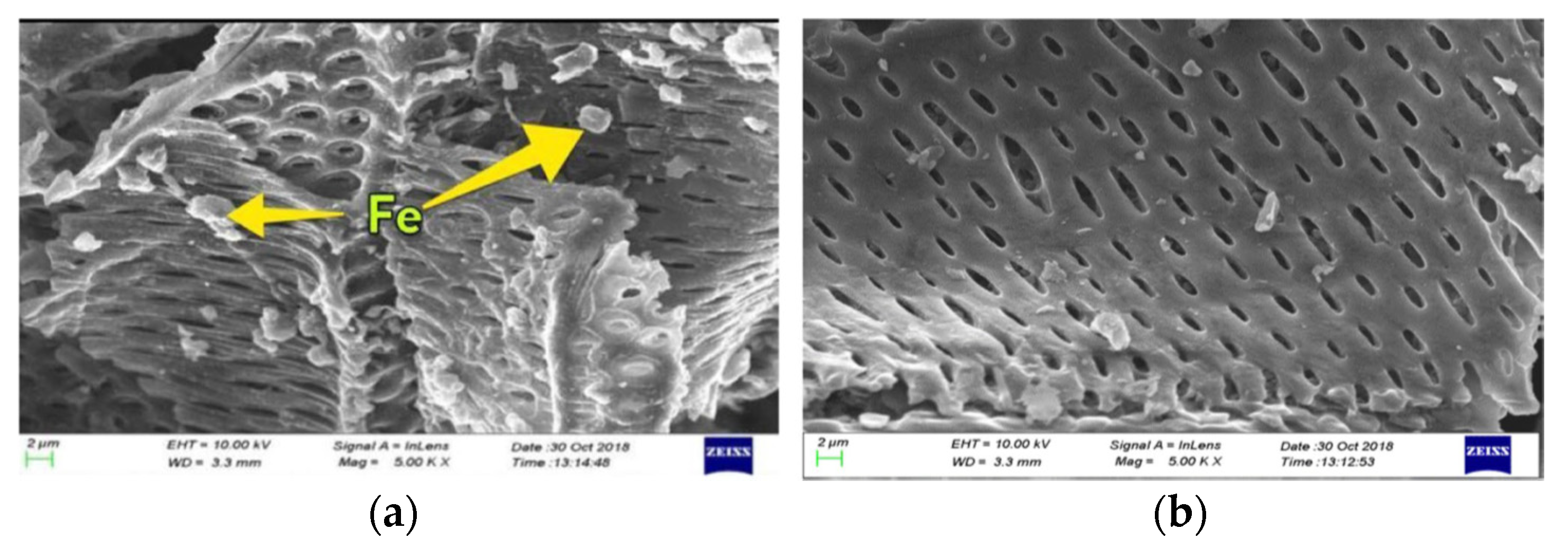 Carbon 07 00039 g015 Carbon 07 00039 g015