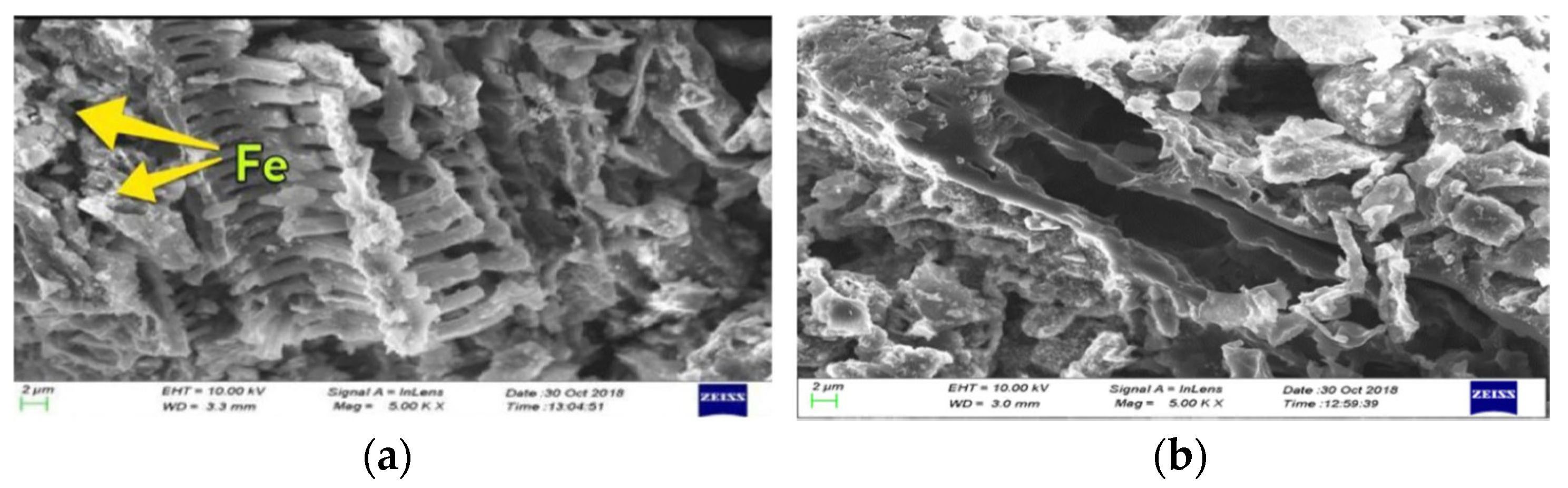 Carbon 07 00039 g016 Carbon 07 00039 g016