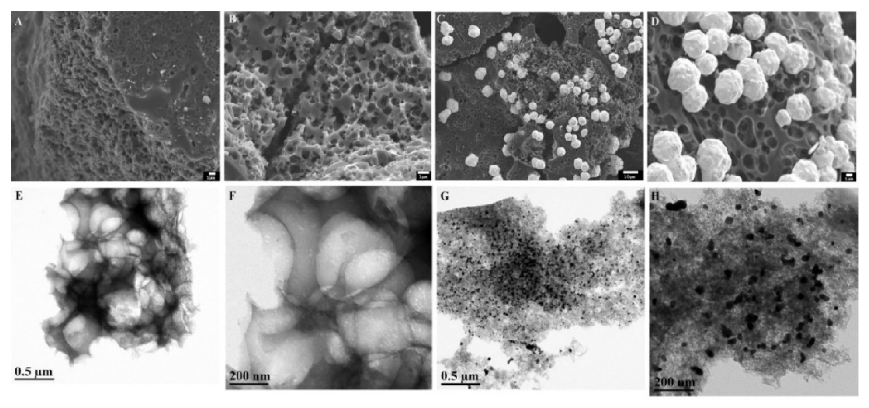 Carbon 07 00039 g023 Carbon 07 00039 g023