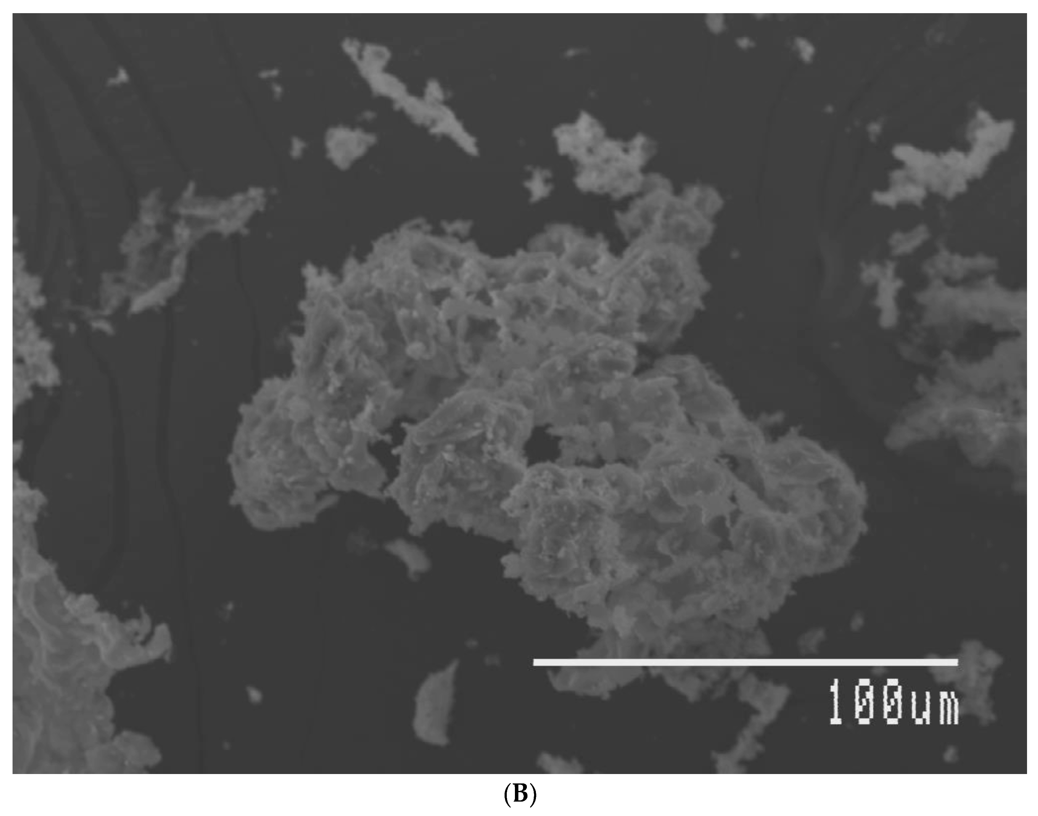 Carbon 07 00043 g001b