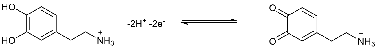 Carbon 07 00043 i002