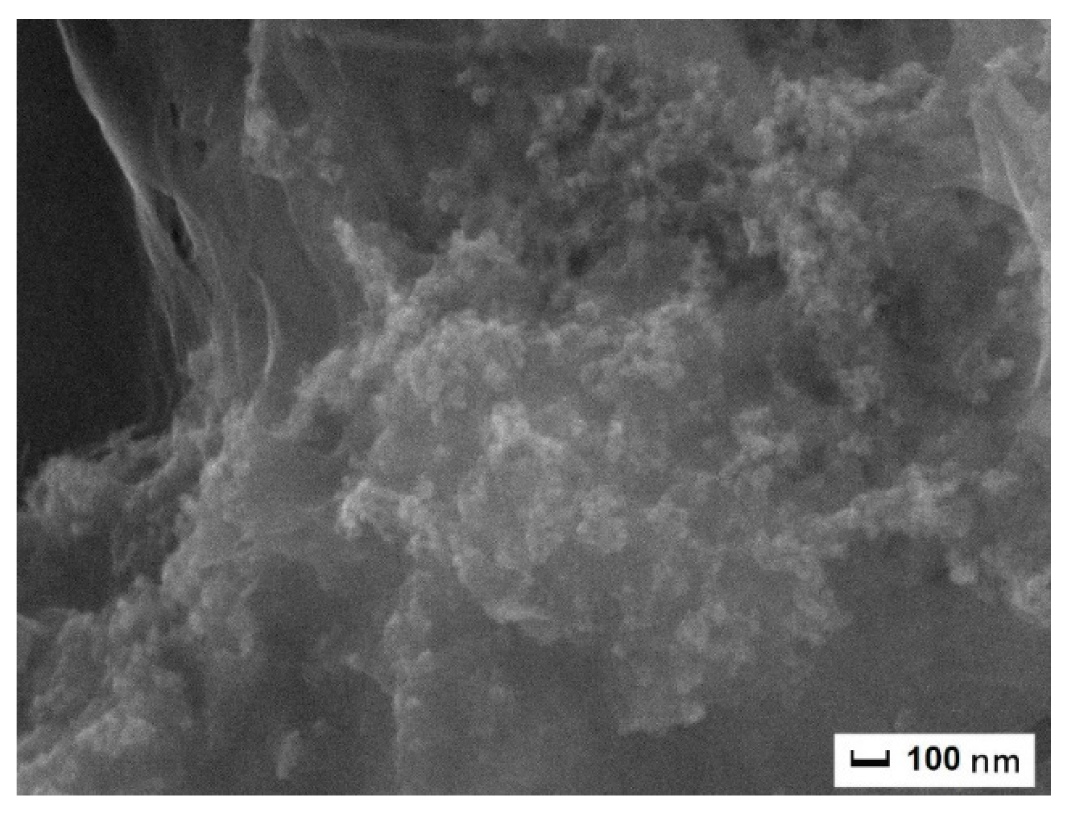 Carbon 07 00049 g004