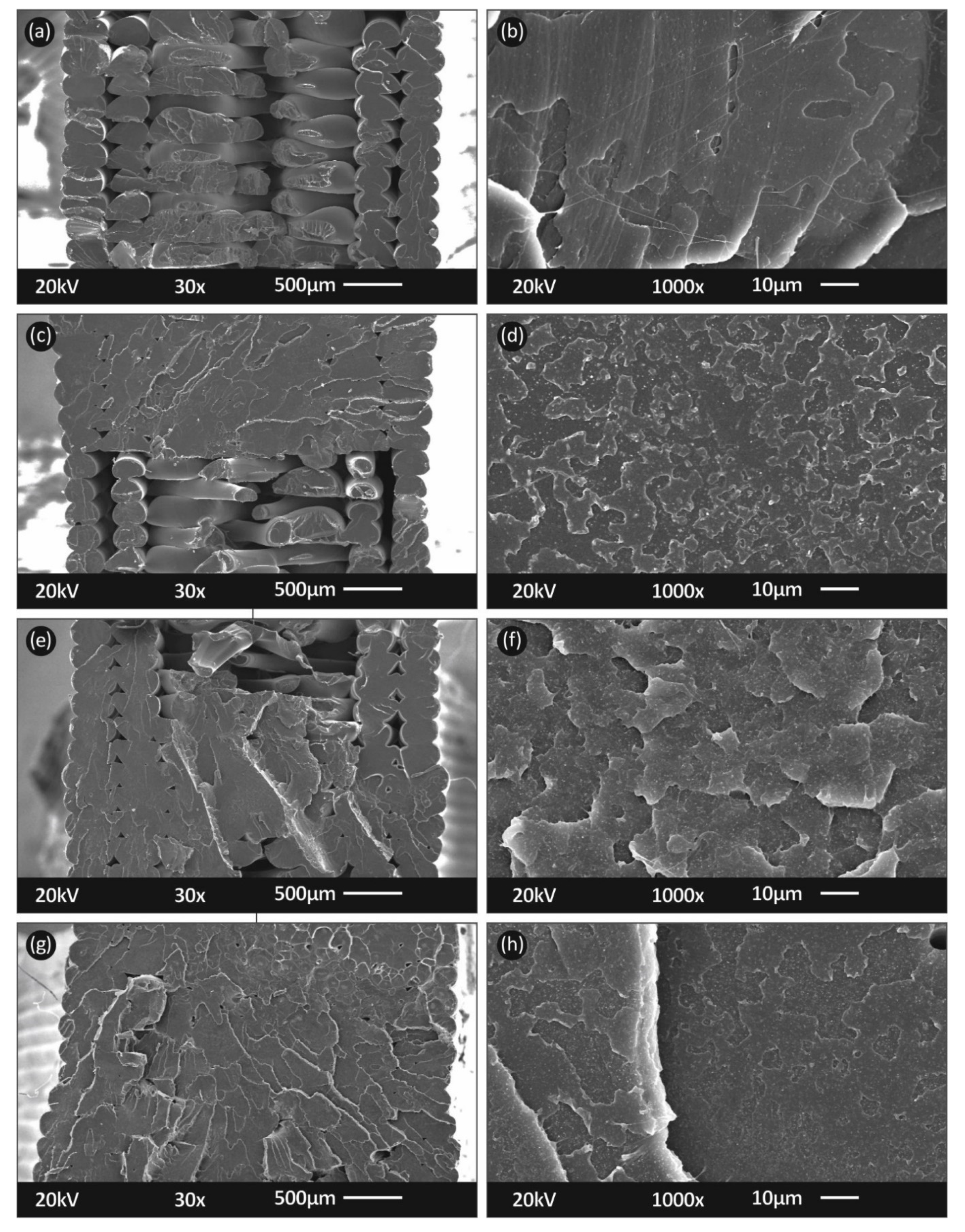 Carbon 07 00052 g008