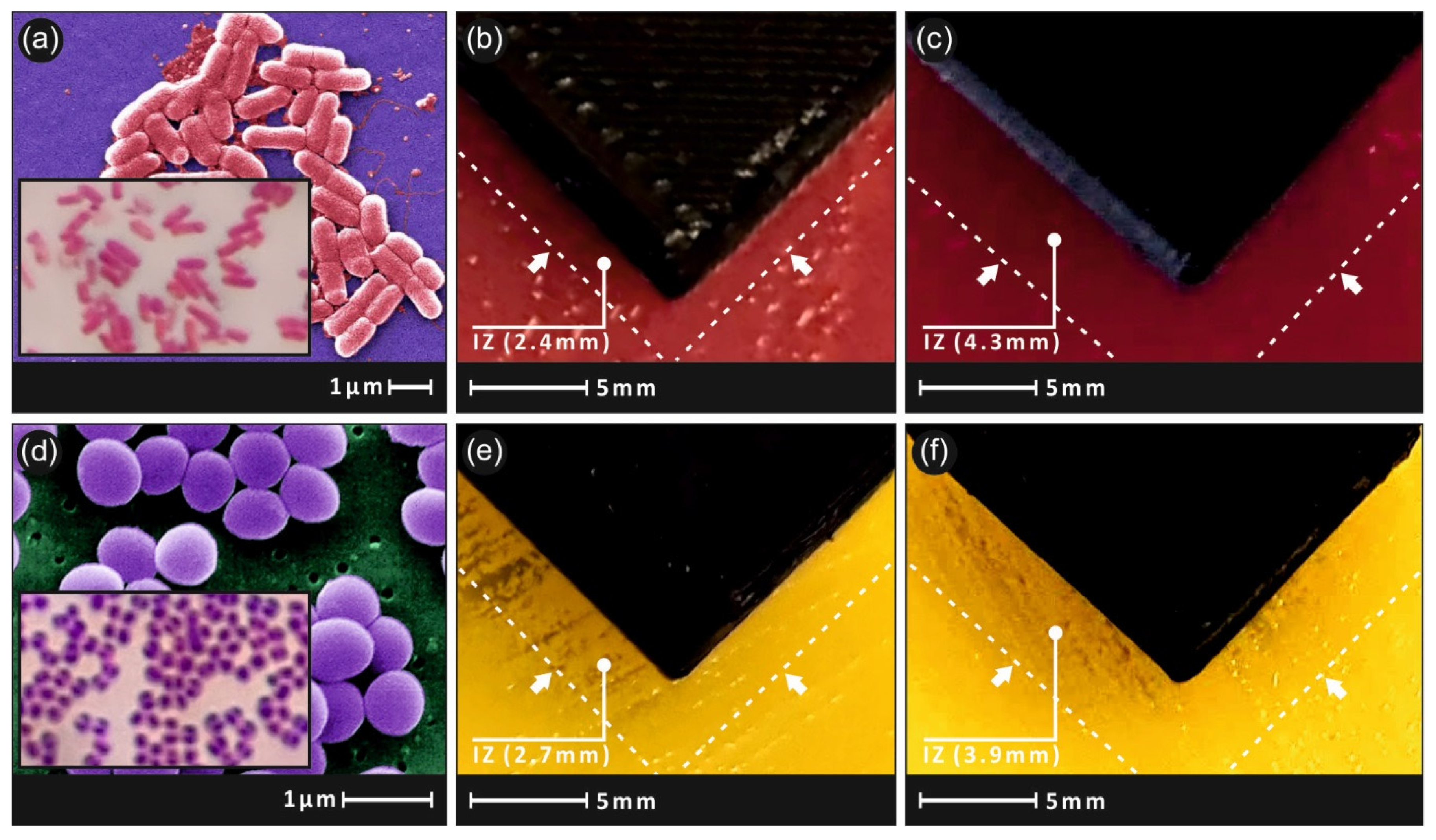 Carbon 07 00052 g012