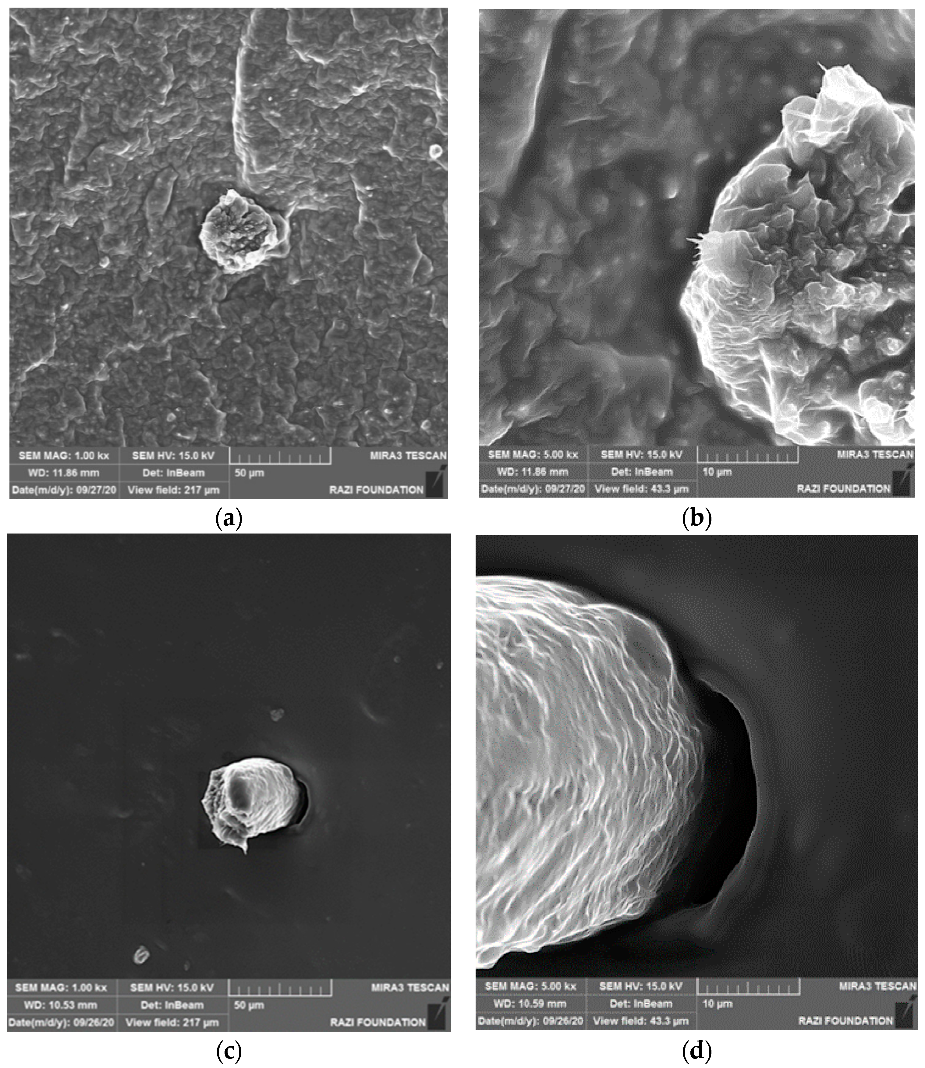 Carbon 07 00060 g008