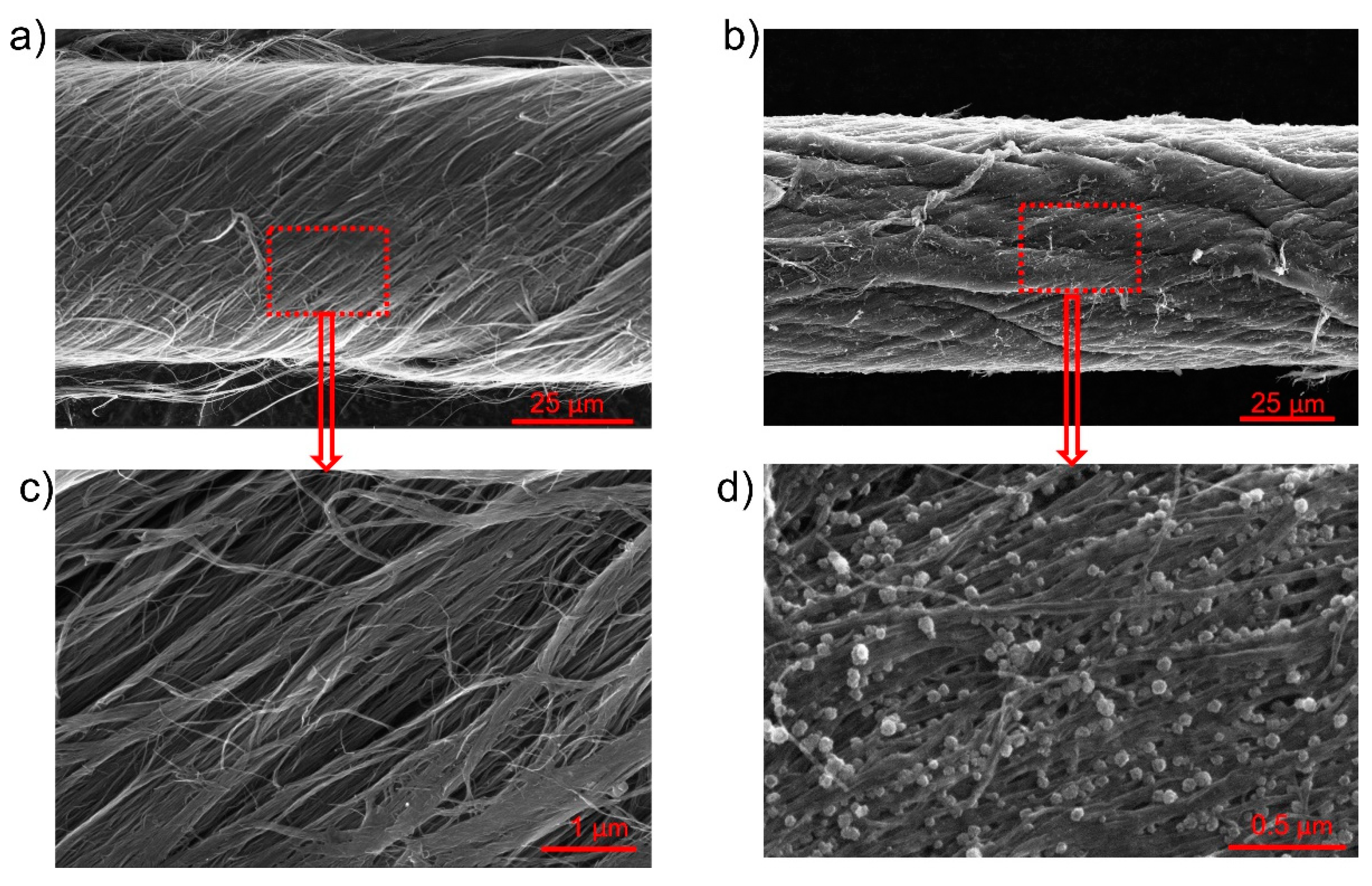 Carbon 07 00062 g002