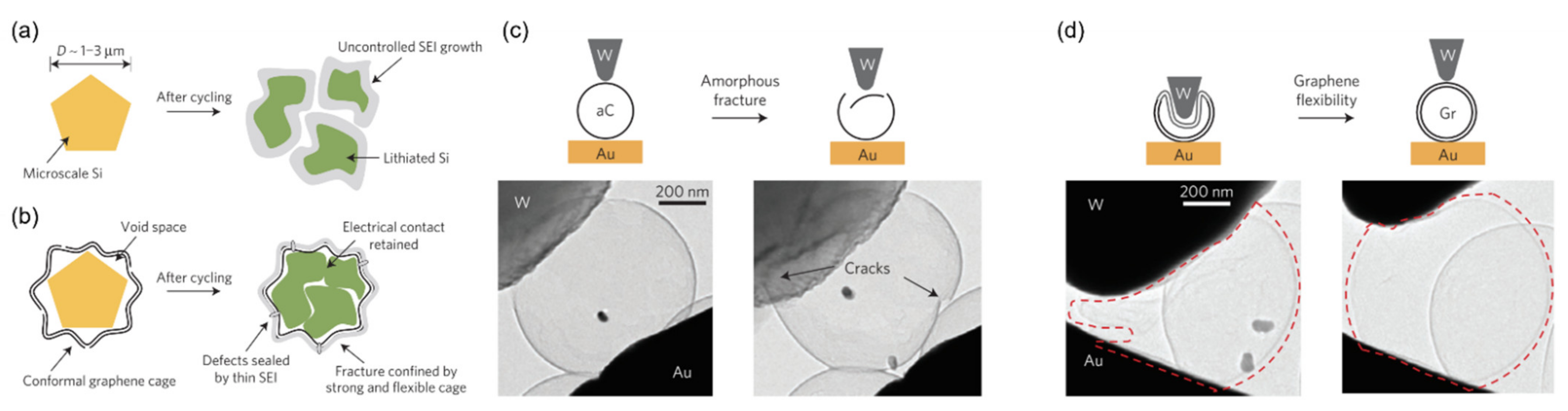 Carbon 07 00065 g005