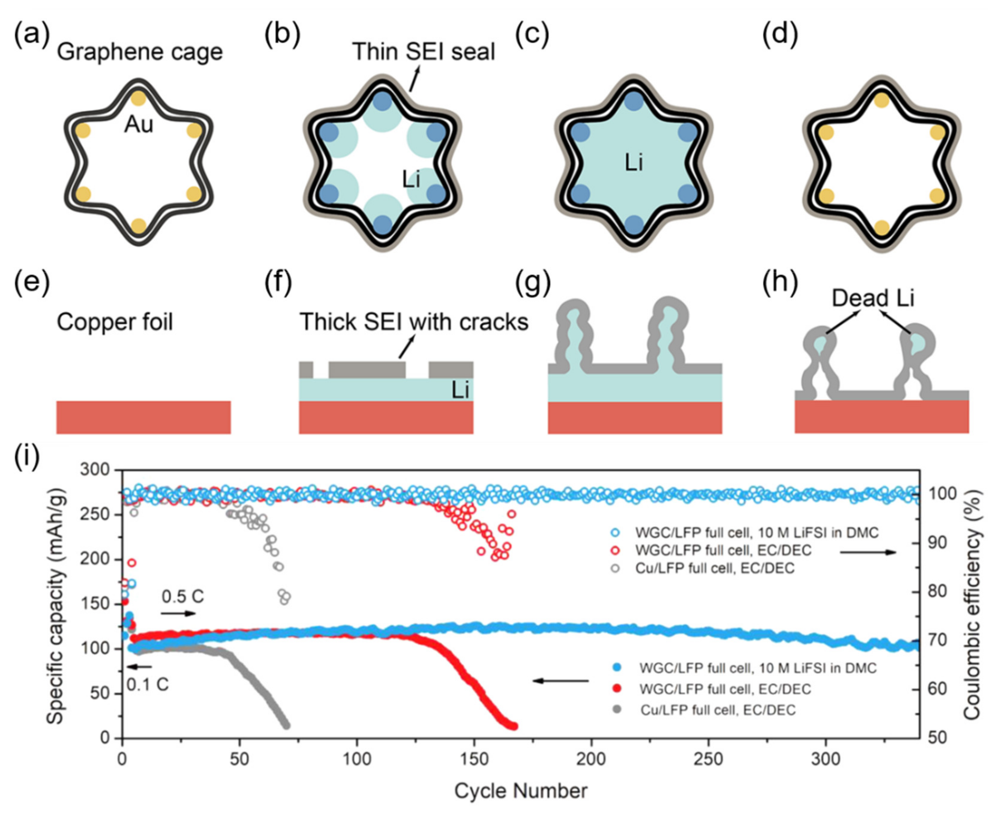 Carbon 07 00065 g009