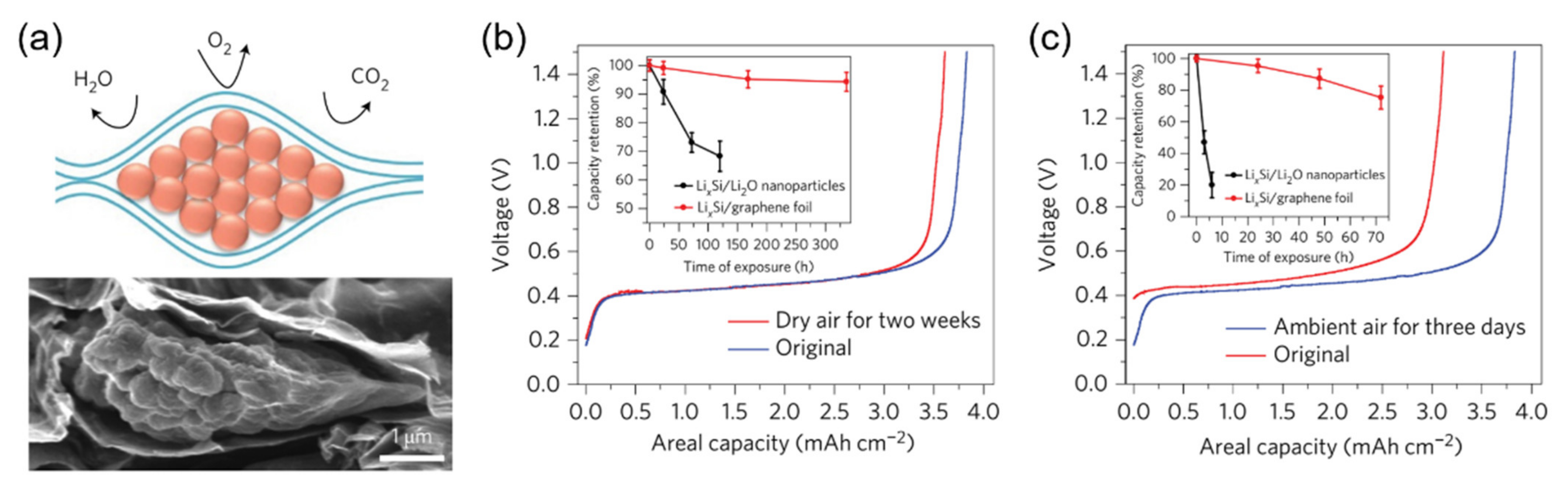Carbon 07 00065 g010