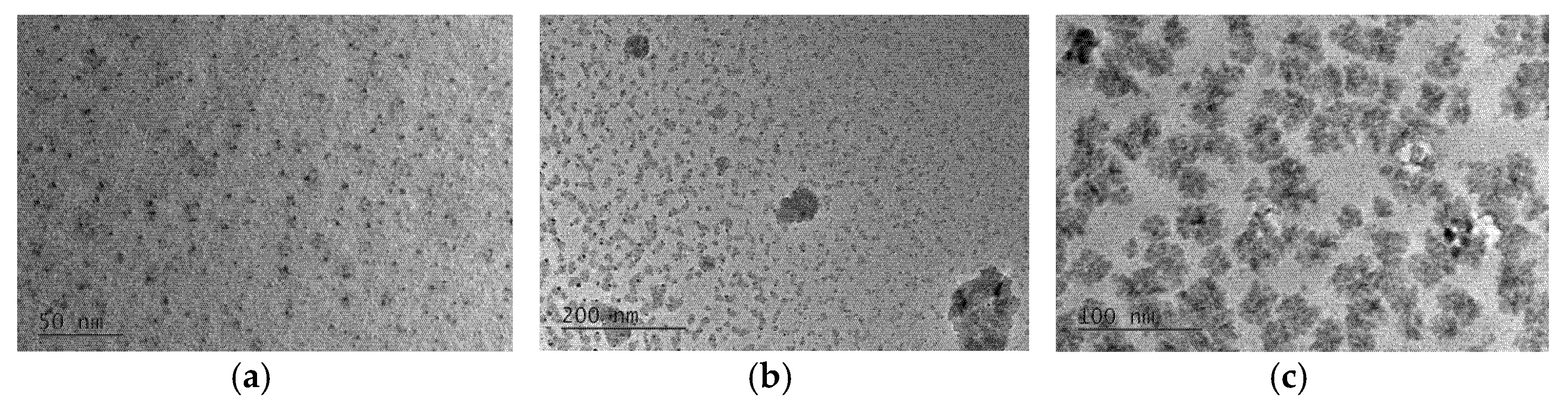 Carbon 07 00069 g004