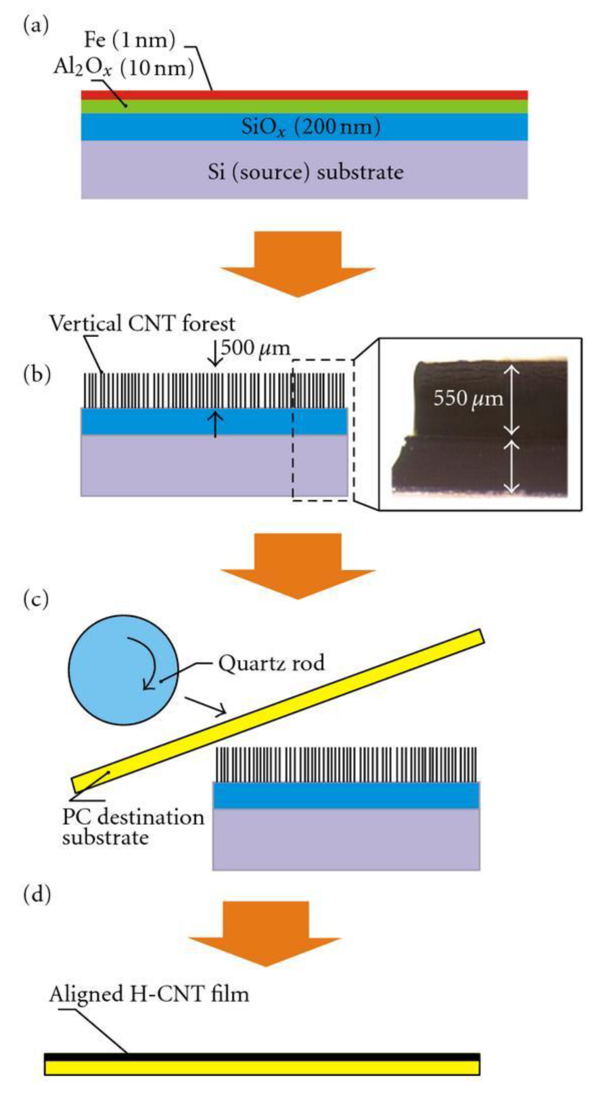 Carbon 07 00070 g005