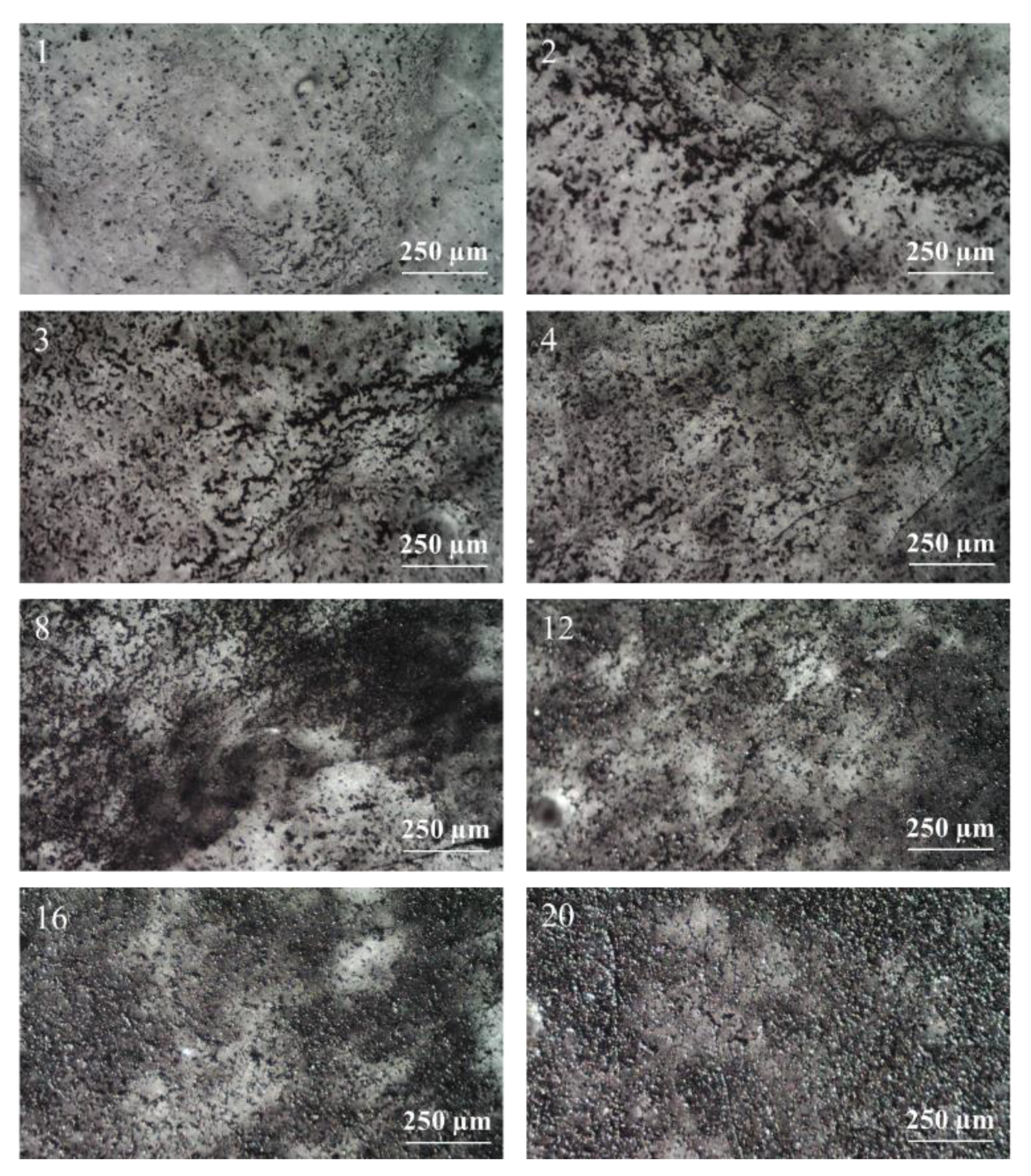 Carbon 07 00070 g016