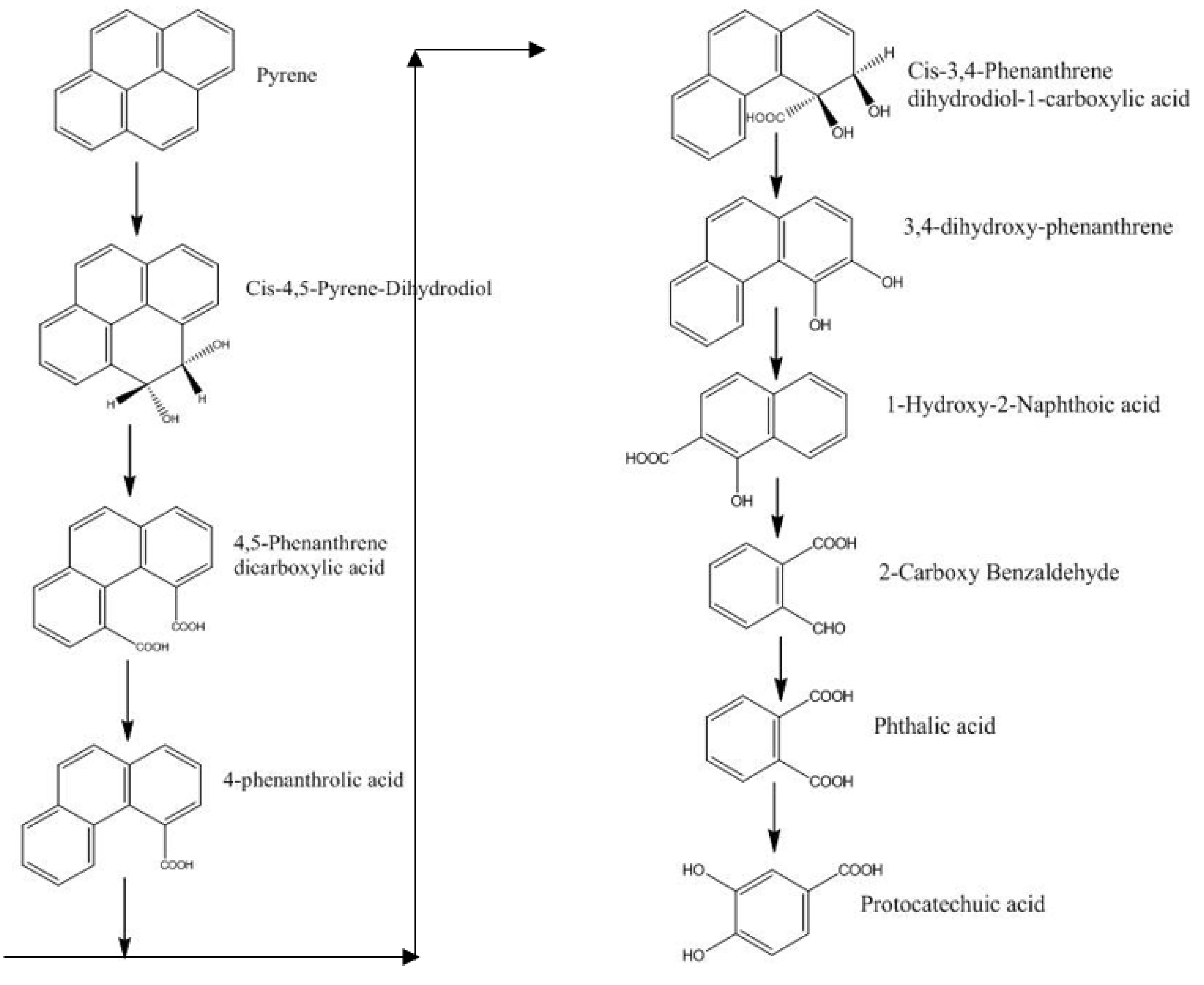 Carbon 07 00083 g003