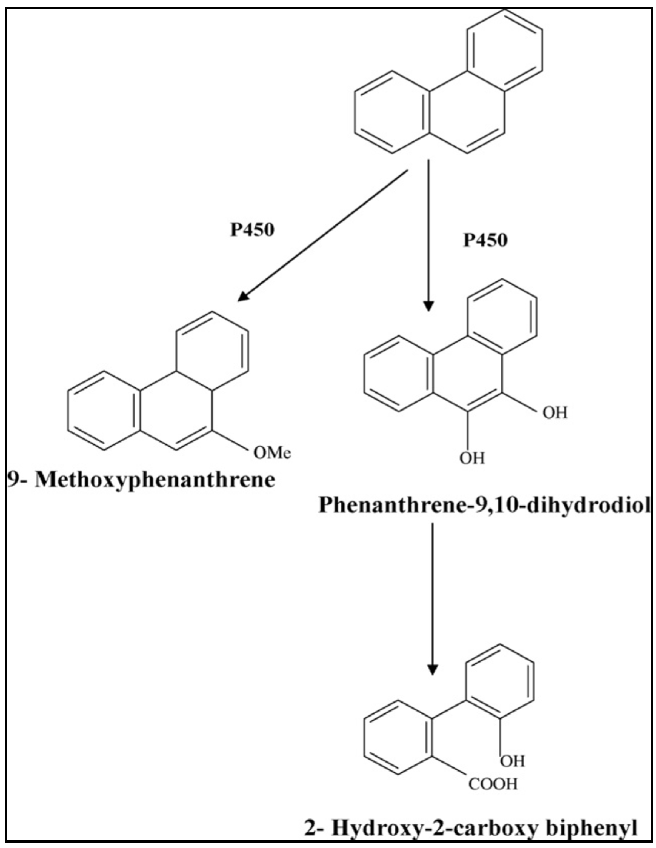 Carbon 07 00083 g004
