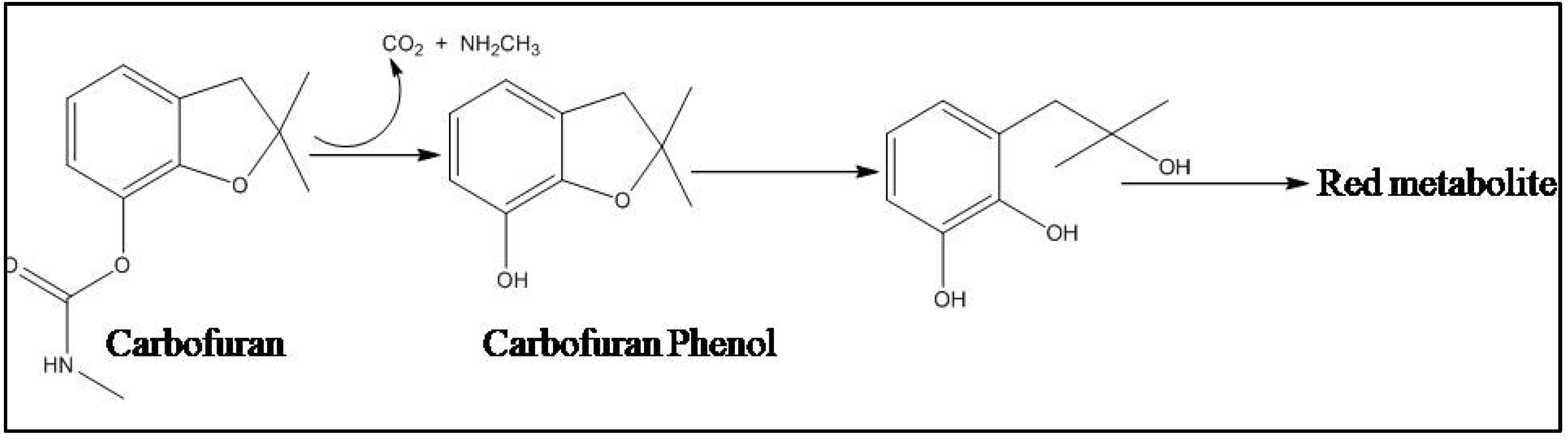 Carbon 07 00083 g005