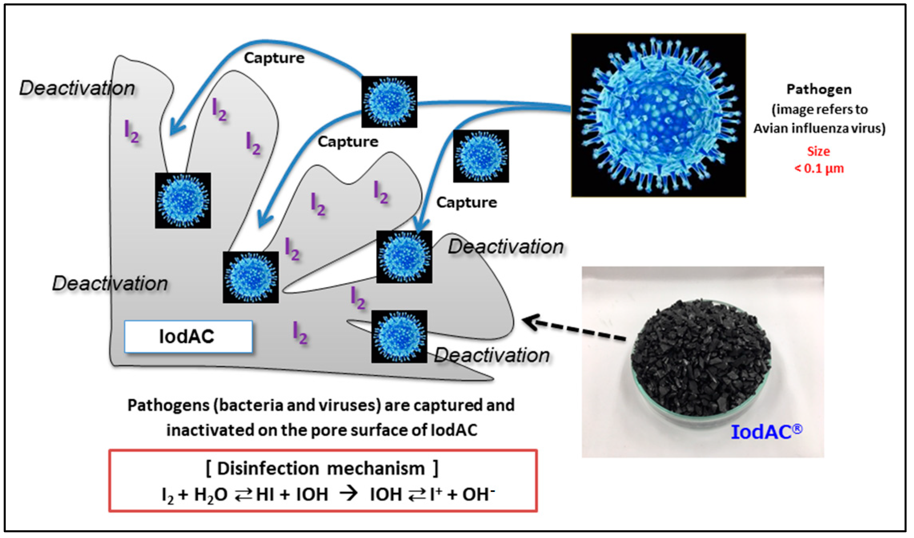 Carbon 07 00086 g003