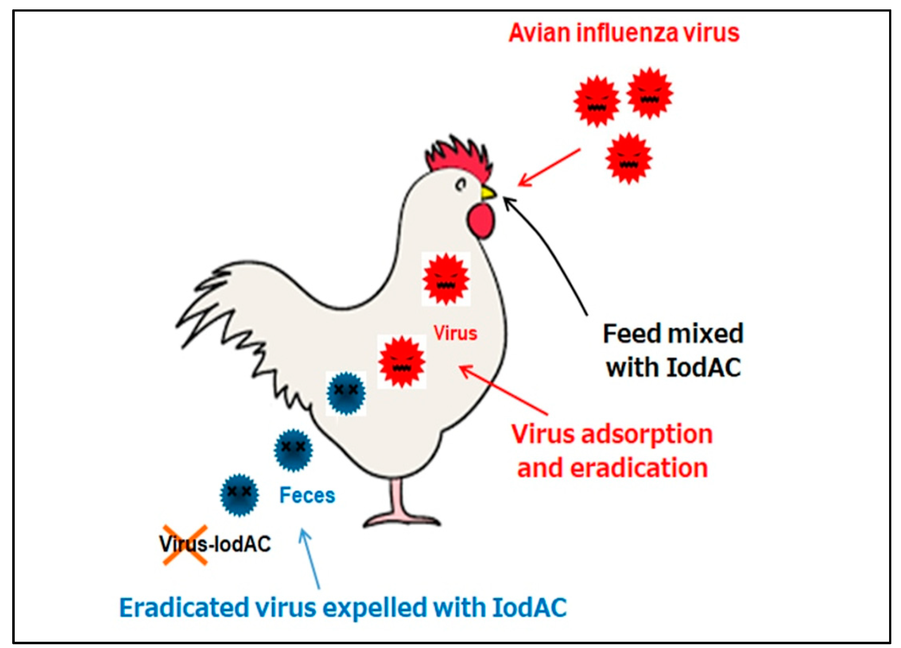 Carbon 07 00086 g013