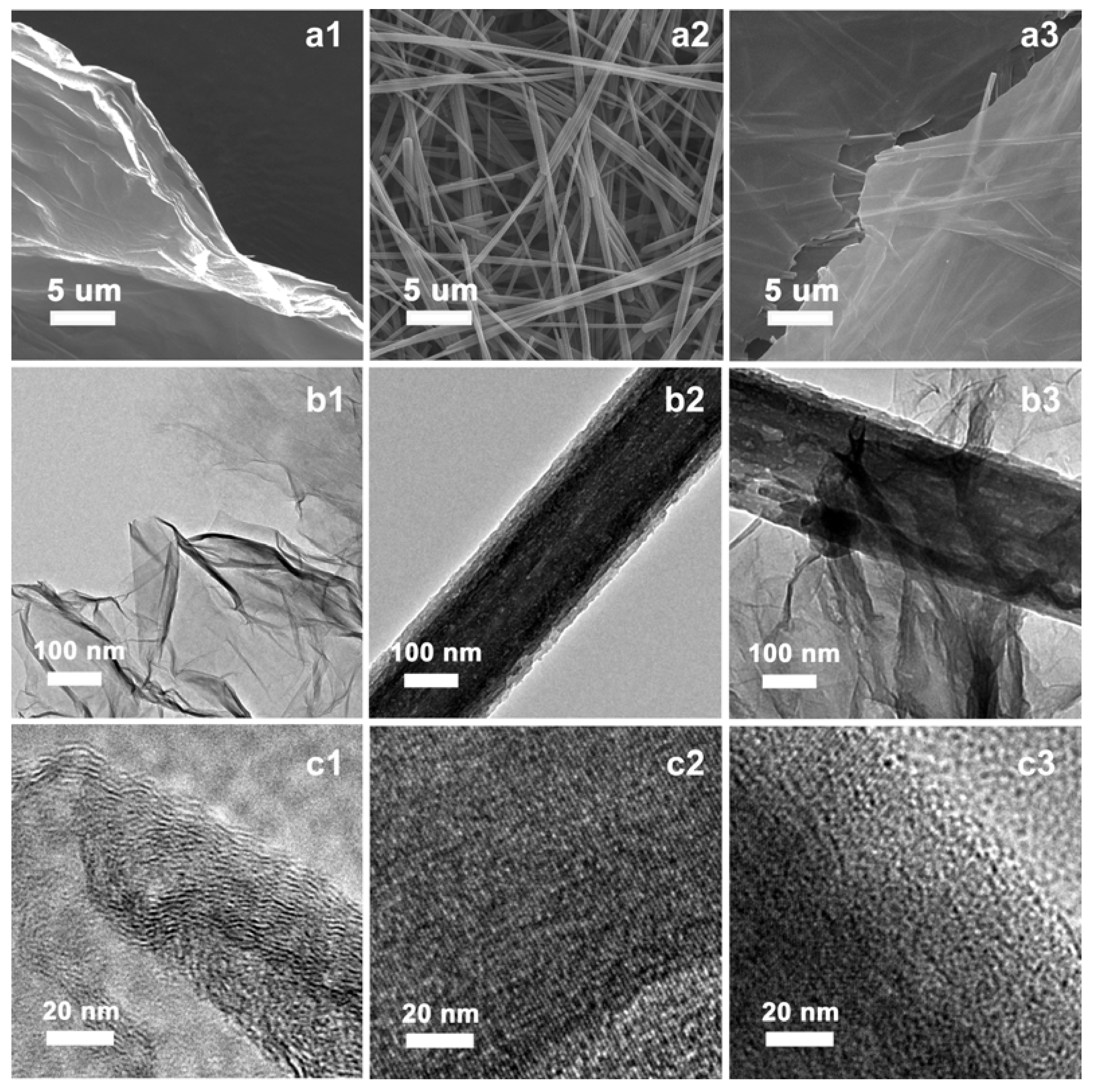 Carbon 08 00013 g001