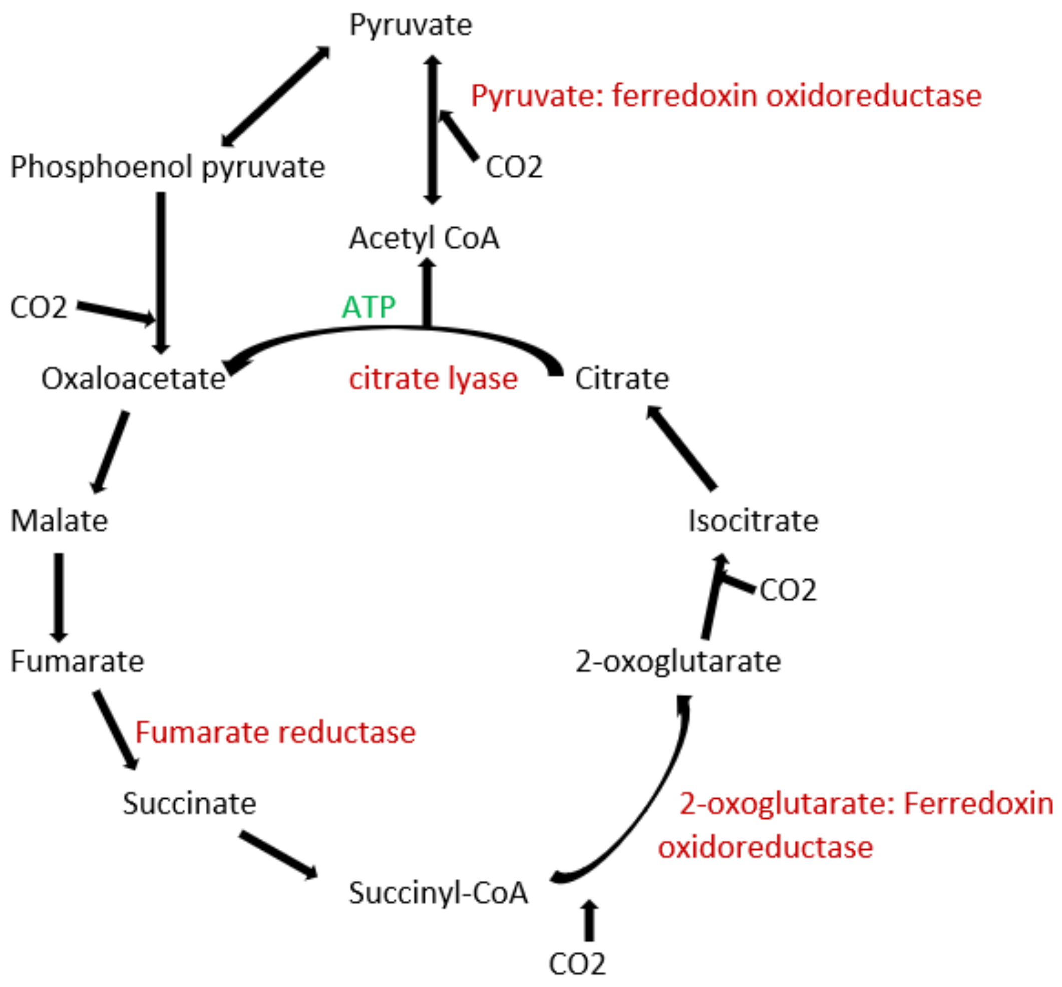 Carbon 08 00018 g001