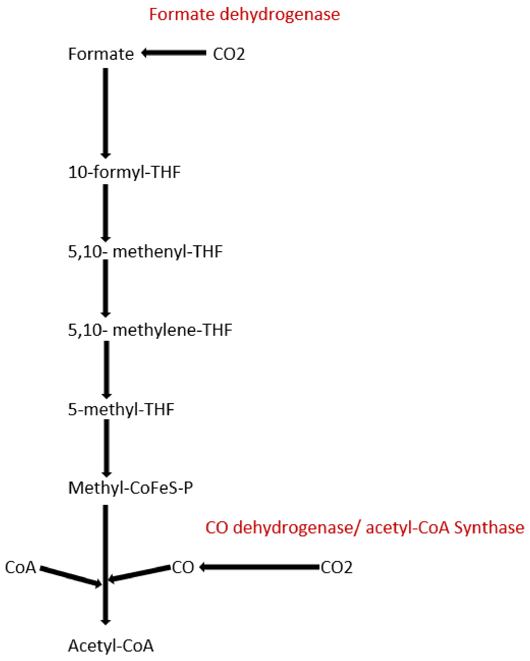Carbon 08 00018 g002