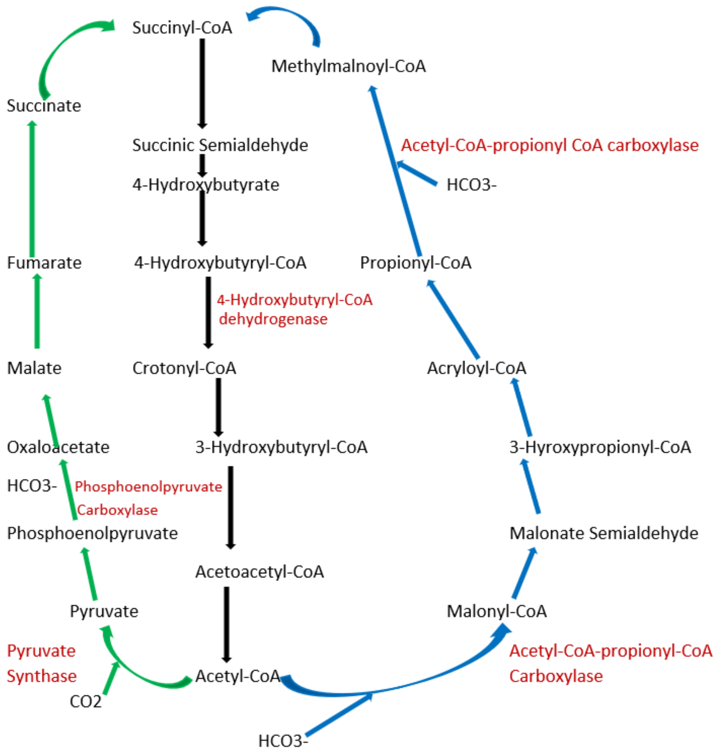 Carbon 08 00018 g003