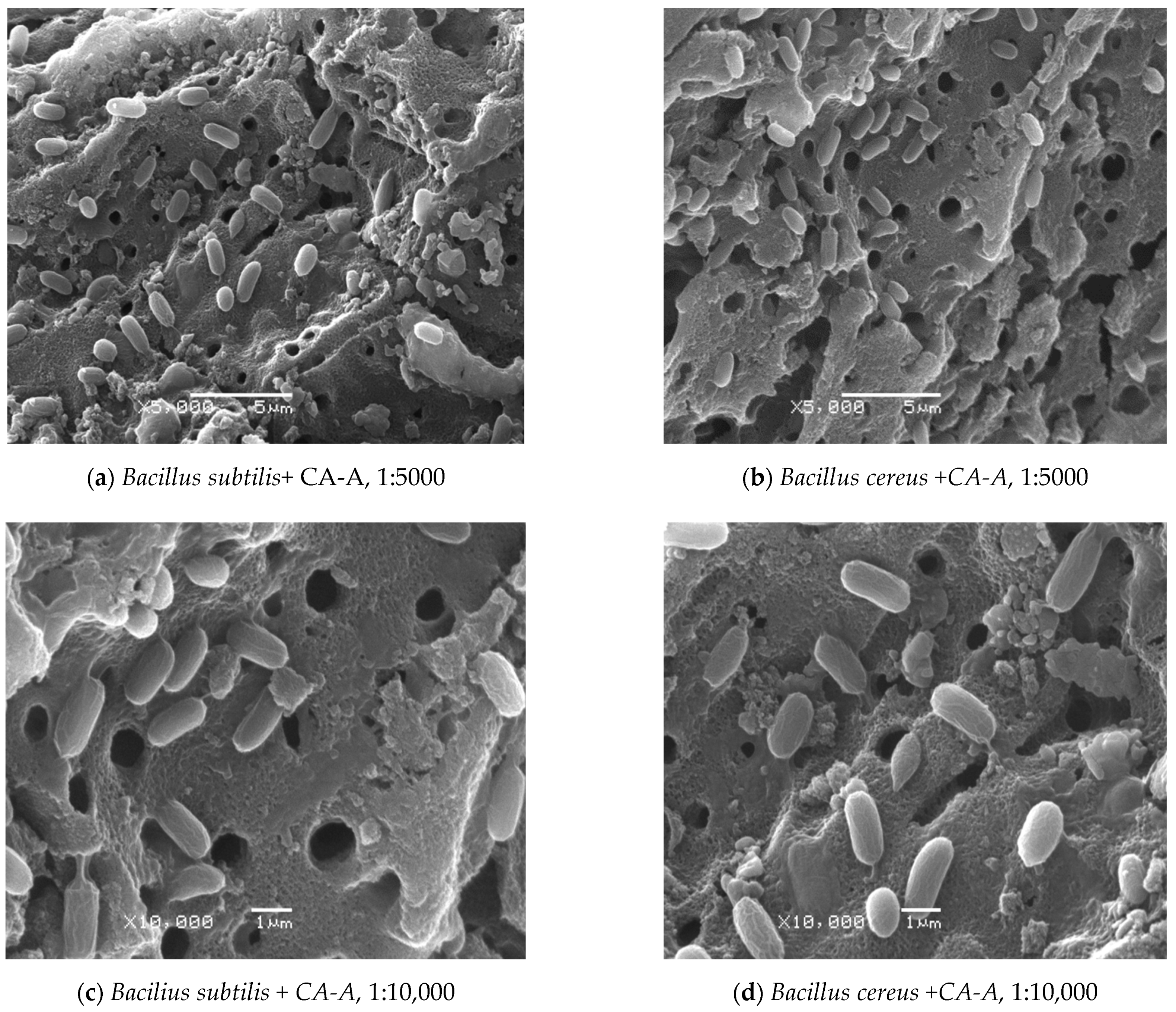 Carbon 08 00038 g005