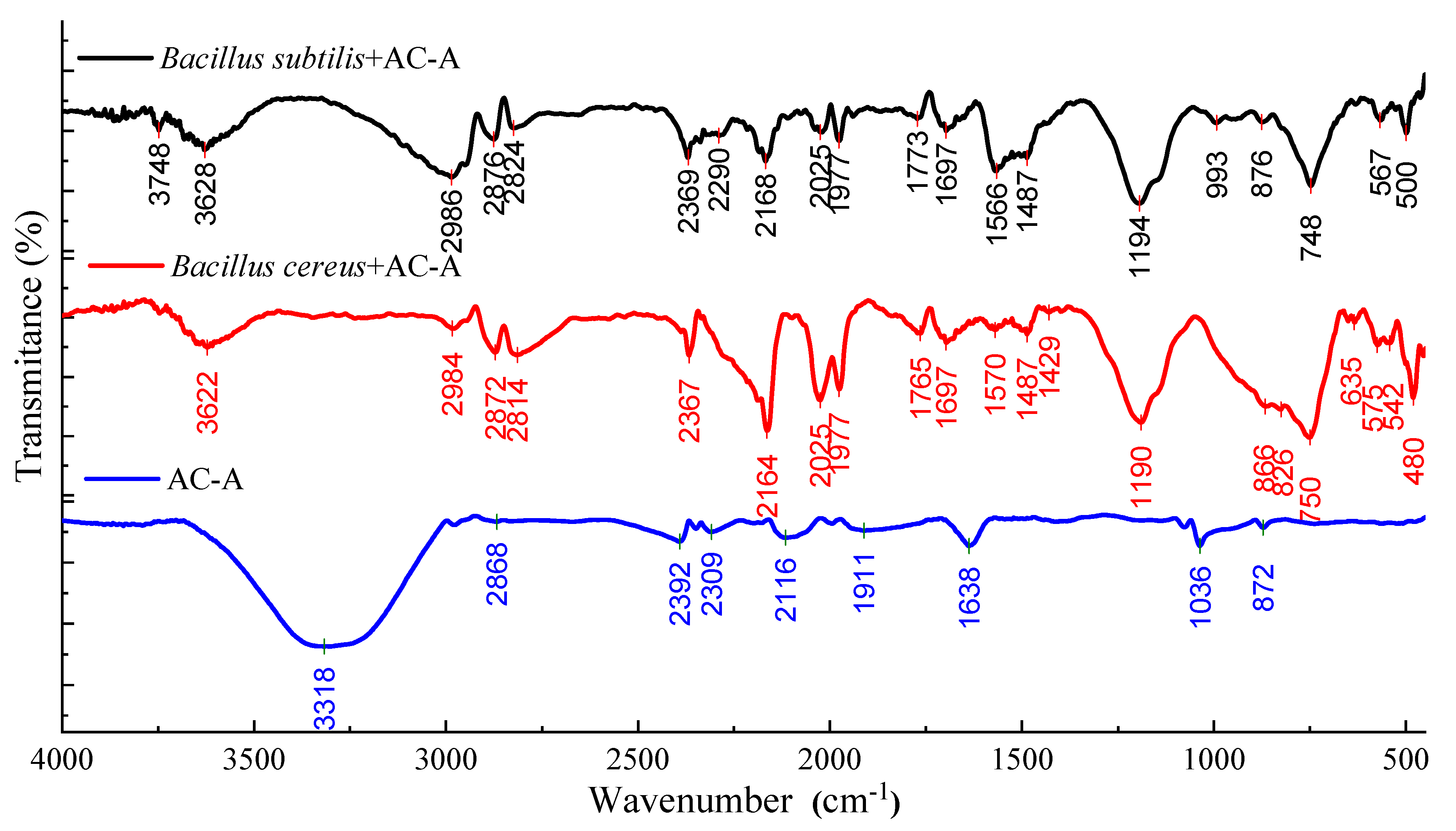 Carbon 08 00038 g006