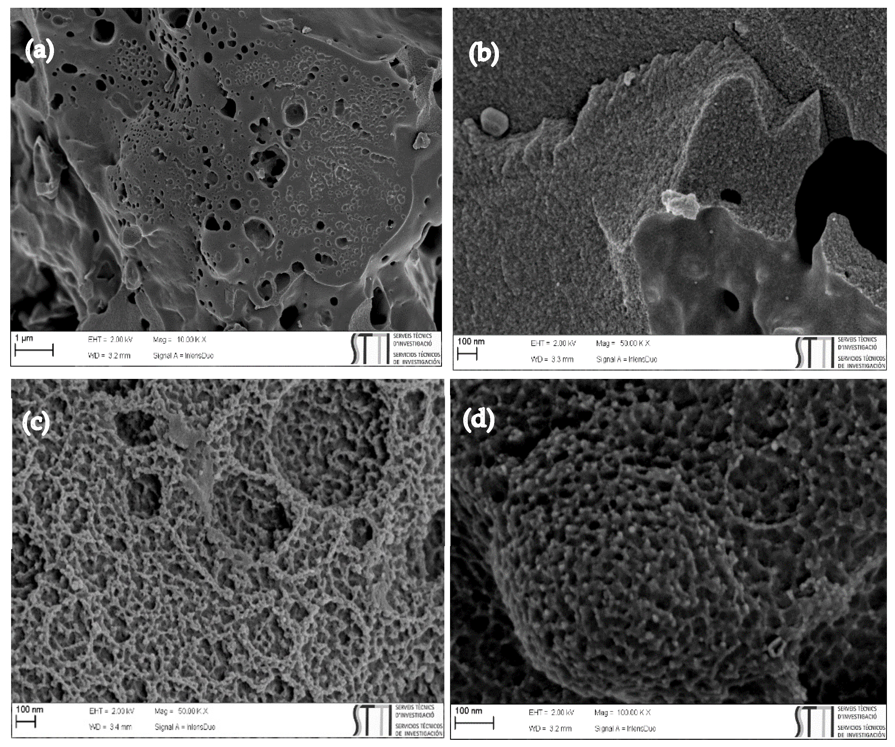 Carbon 08 00041 g002