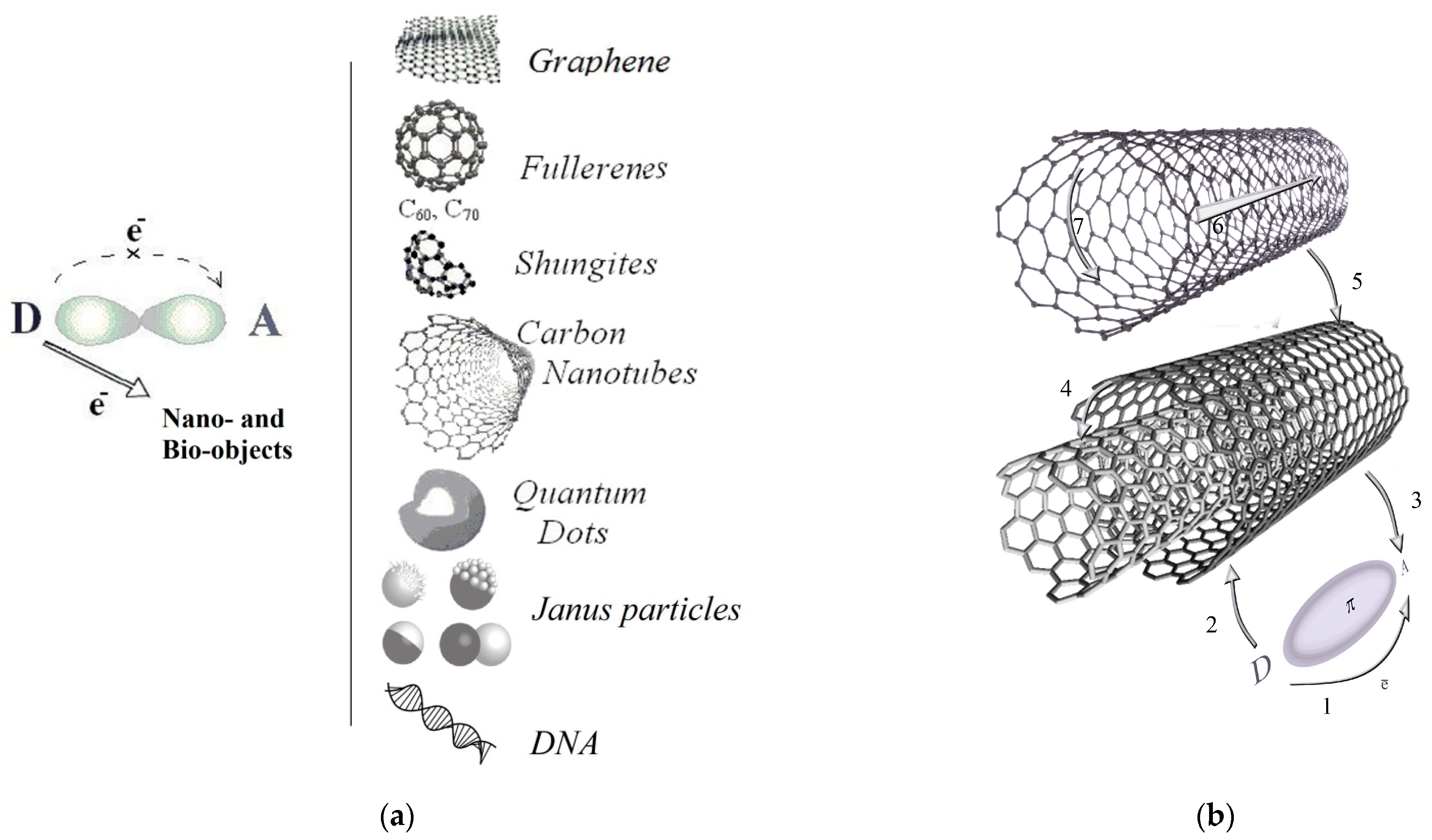Carbon 08 00043 g001