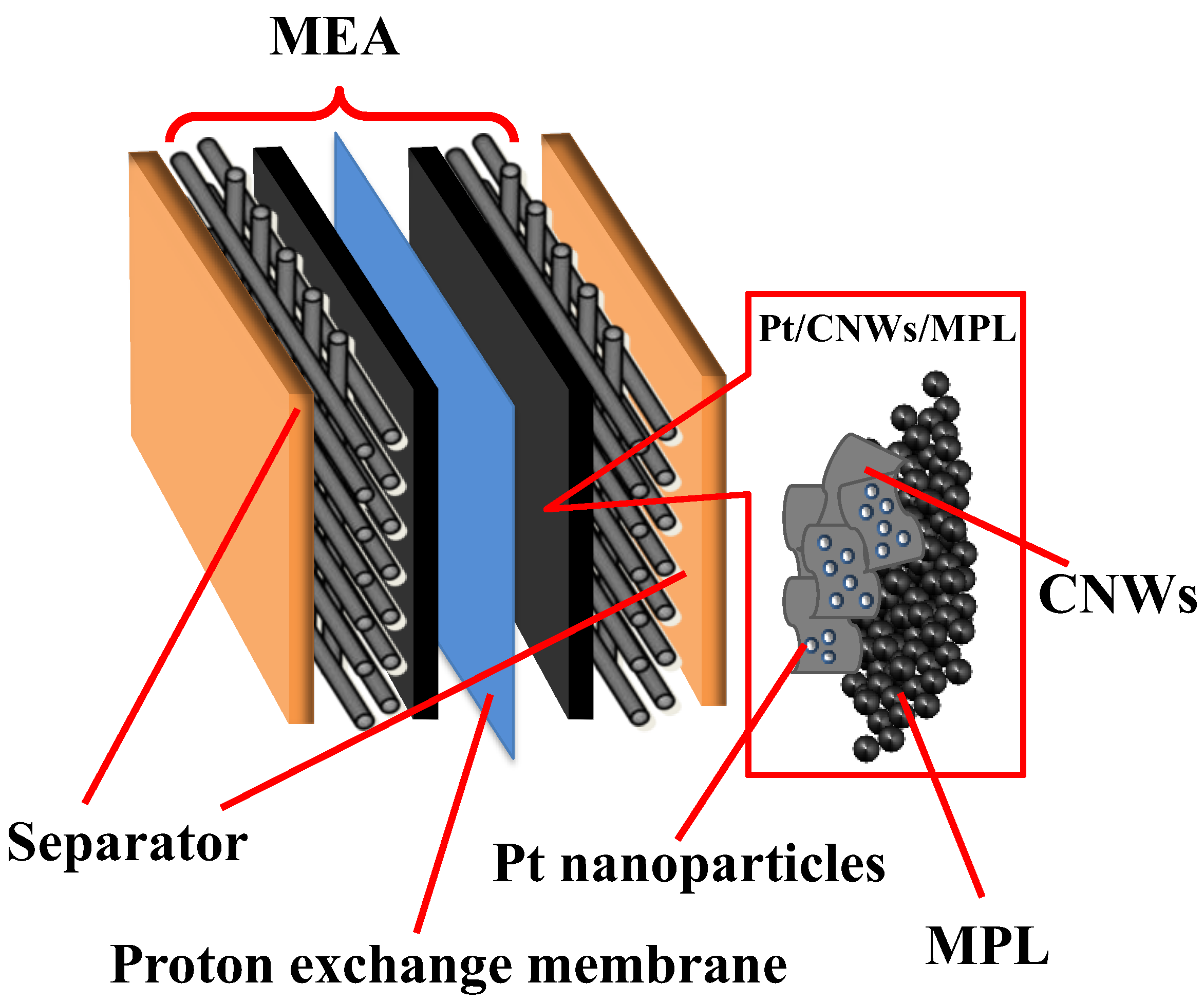 Carbon 08 00044 g002
