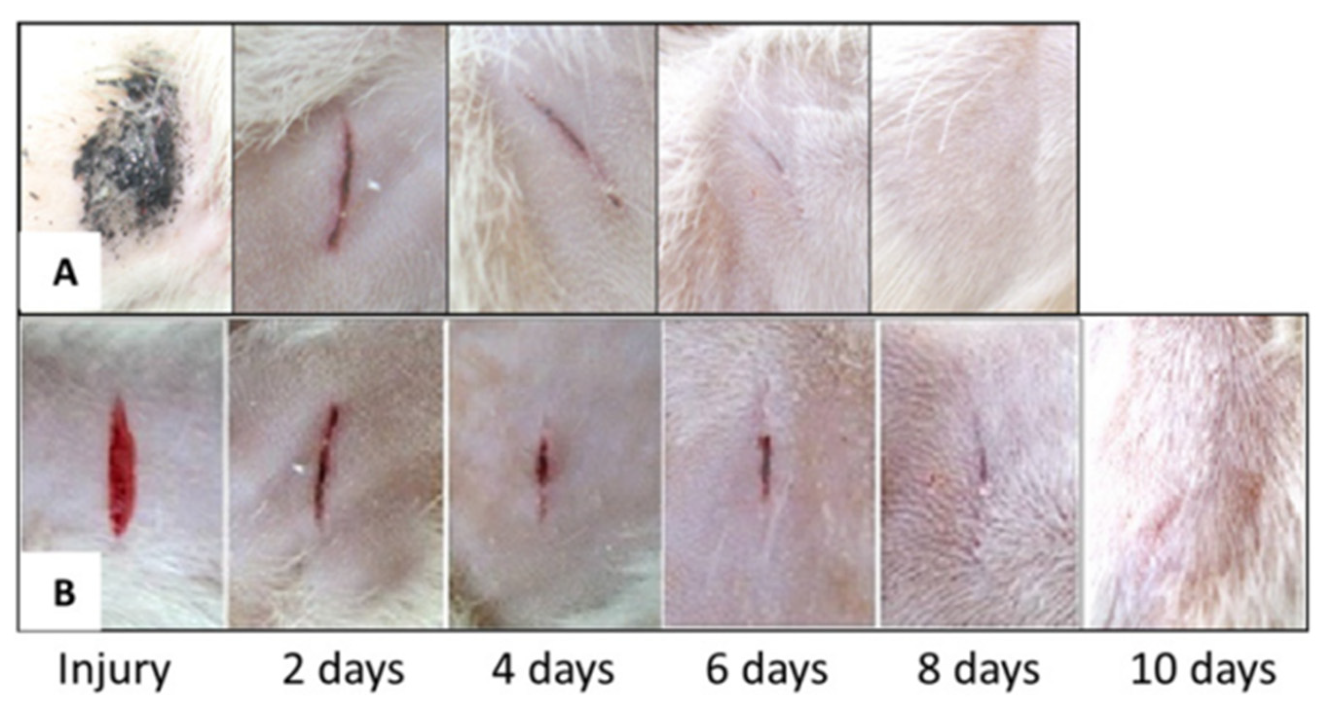 Carbon 08 00055 g009 Carbon 08 00055 g009