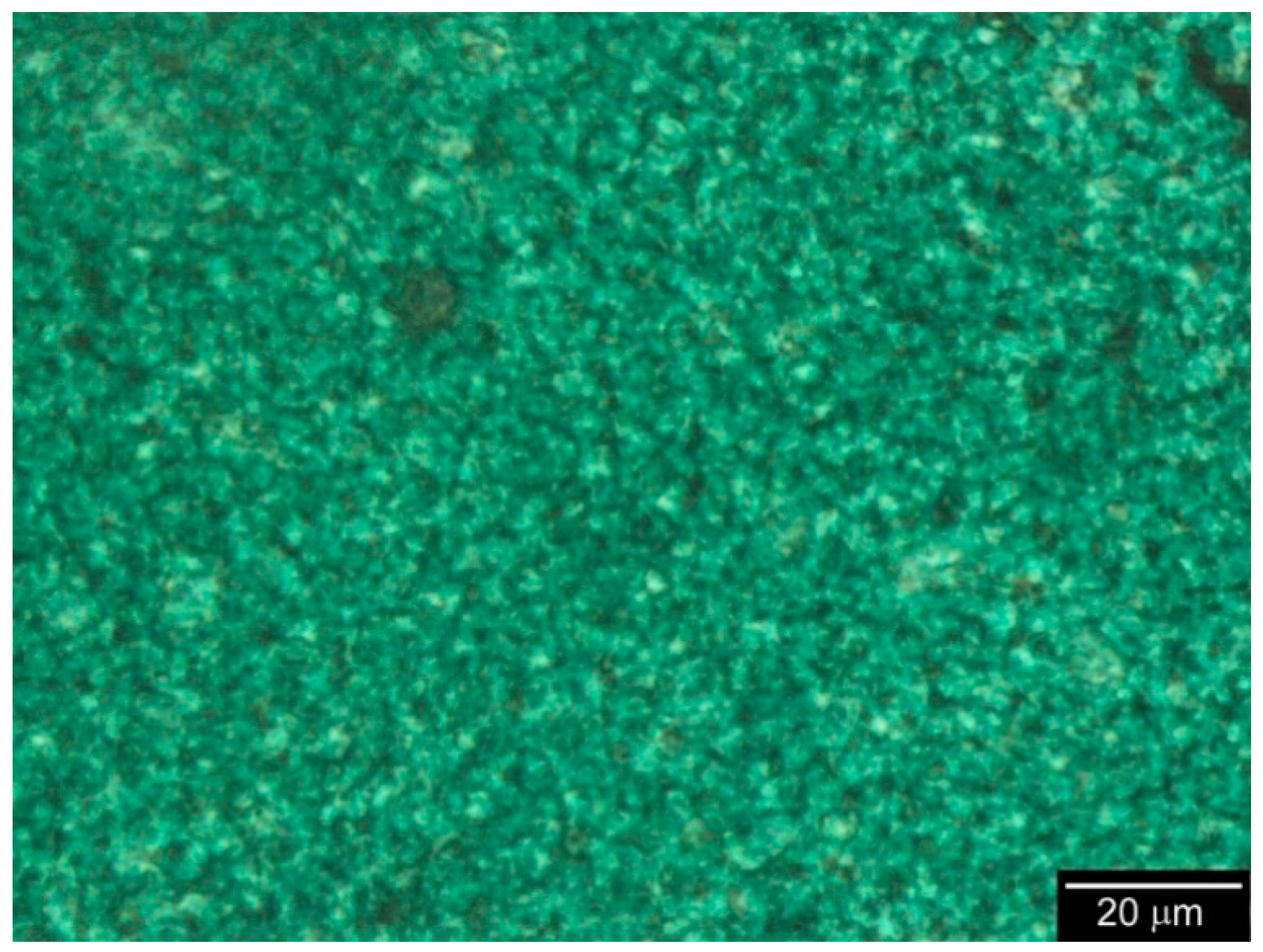 Carbon 08 00060 g012 Carbon 08 00060 g012