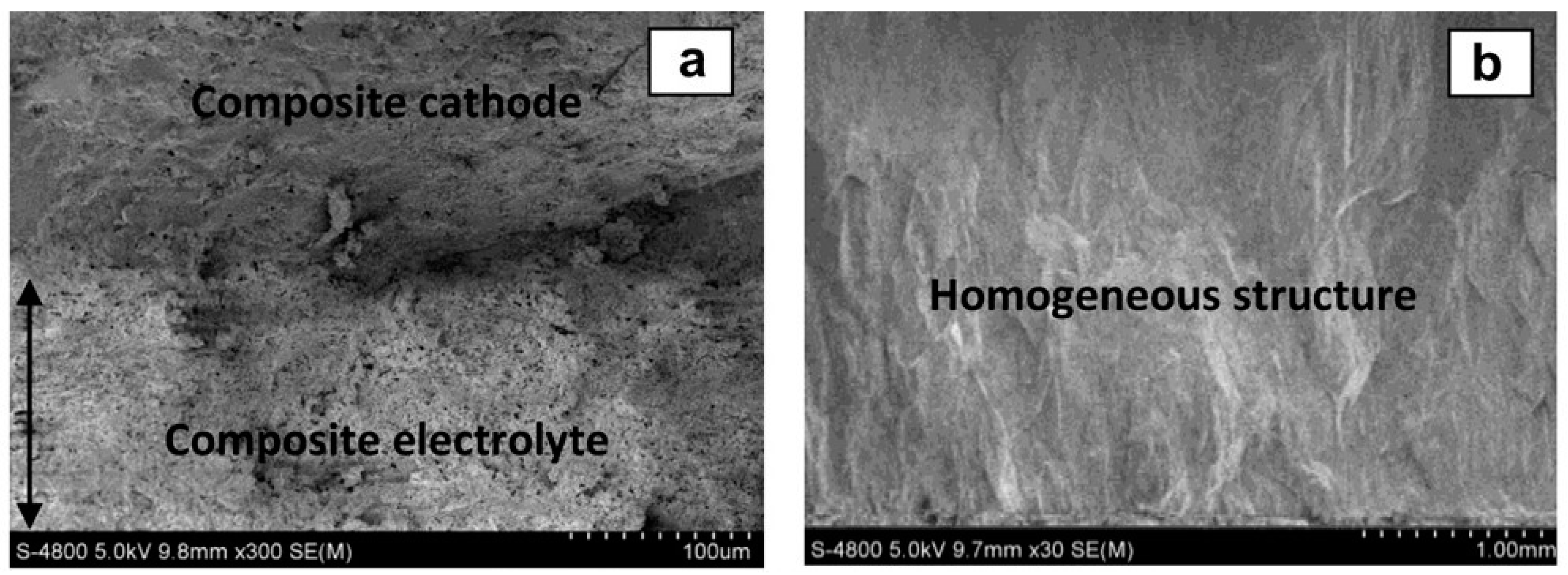 Carbon 09 00022 g011