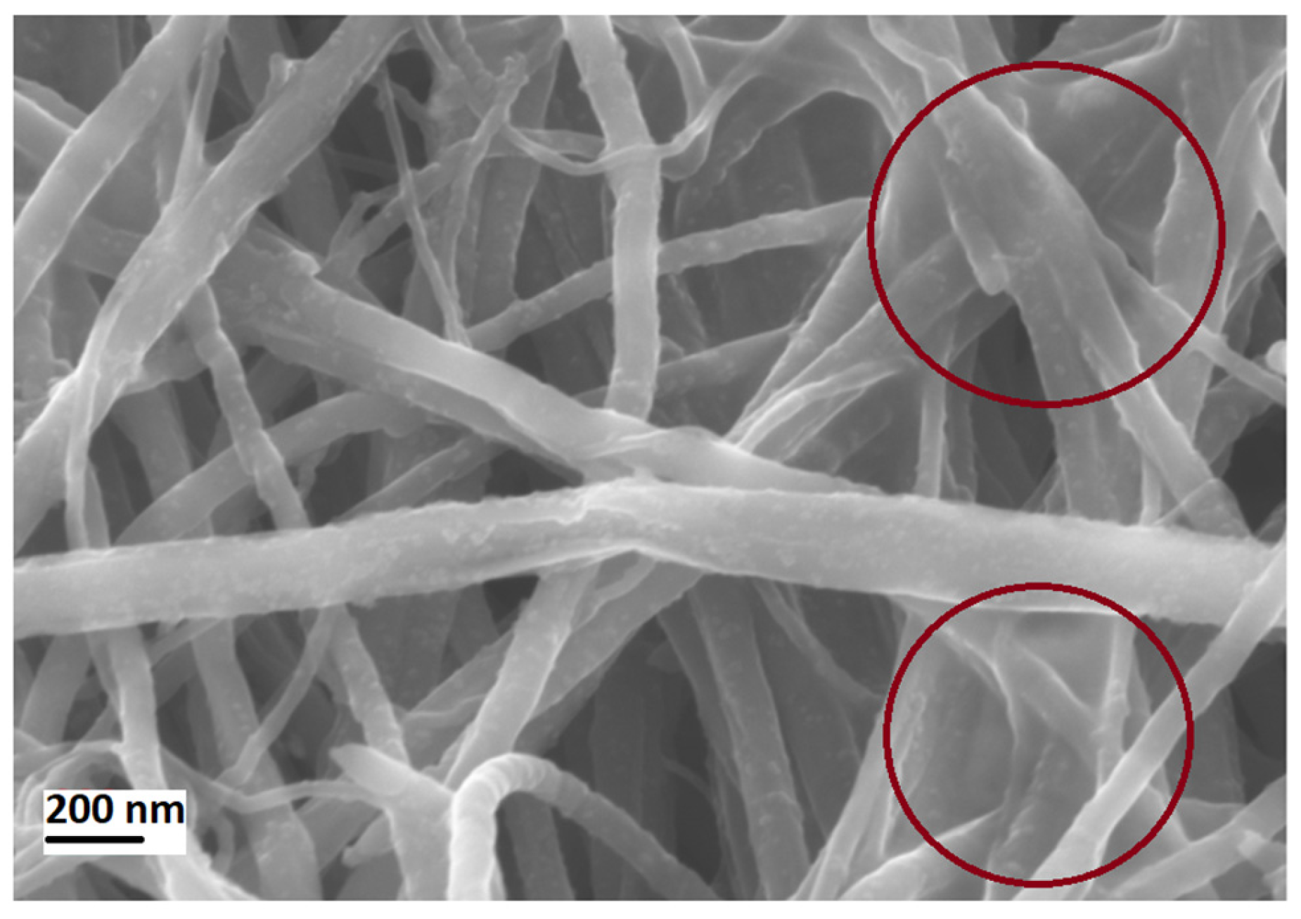 Carbon 09 00025 g011