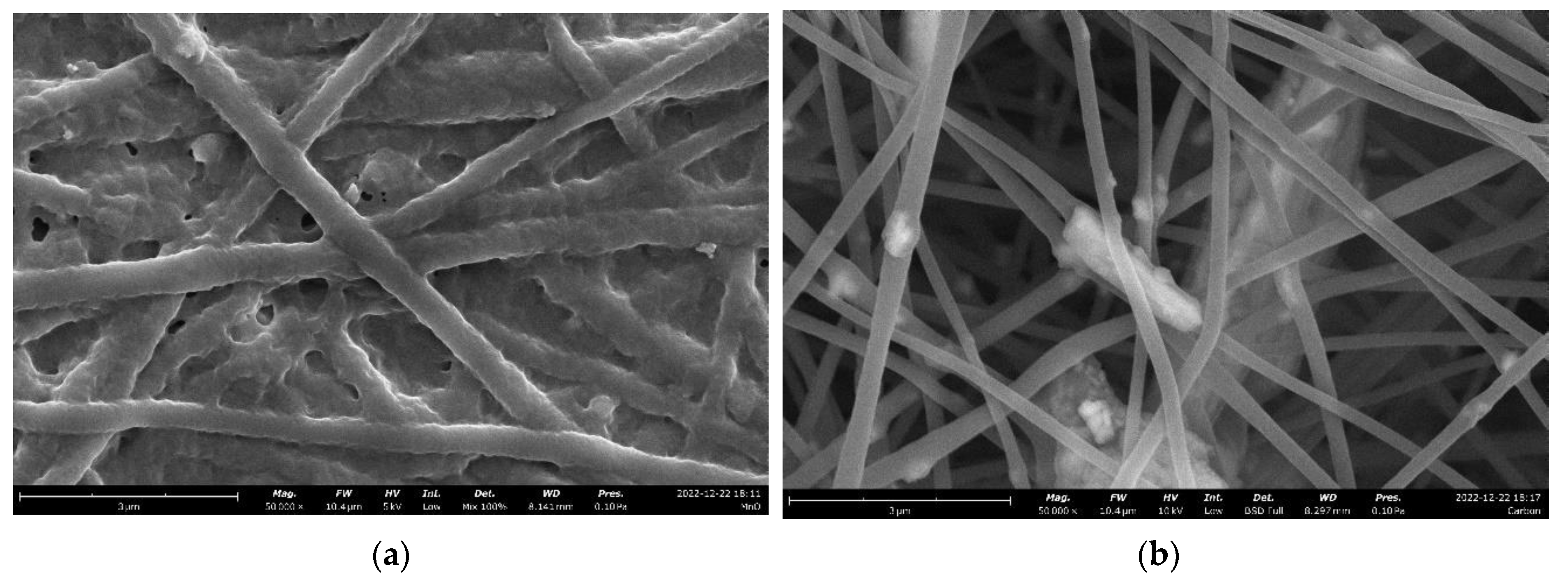 Carbon 09 00026 g004 Carbon 09 00026 g004