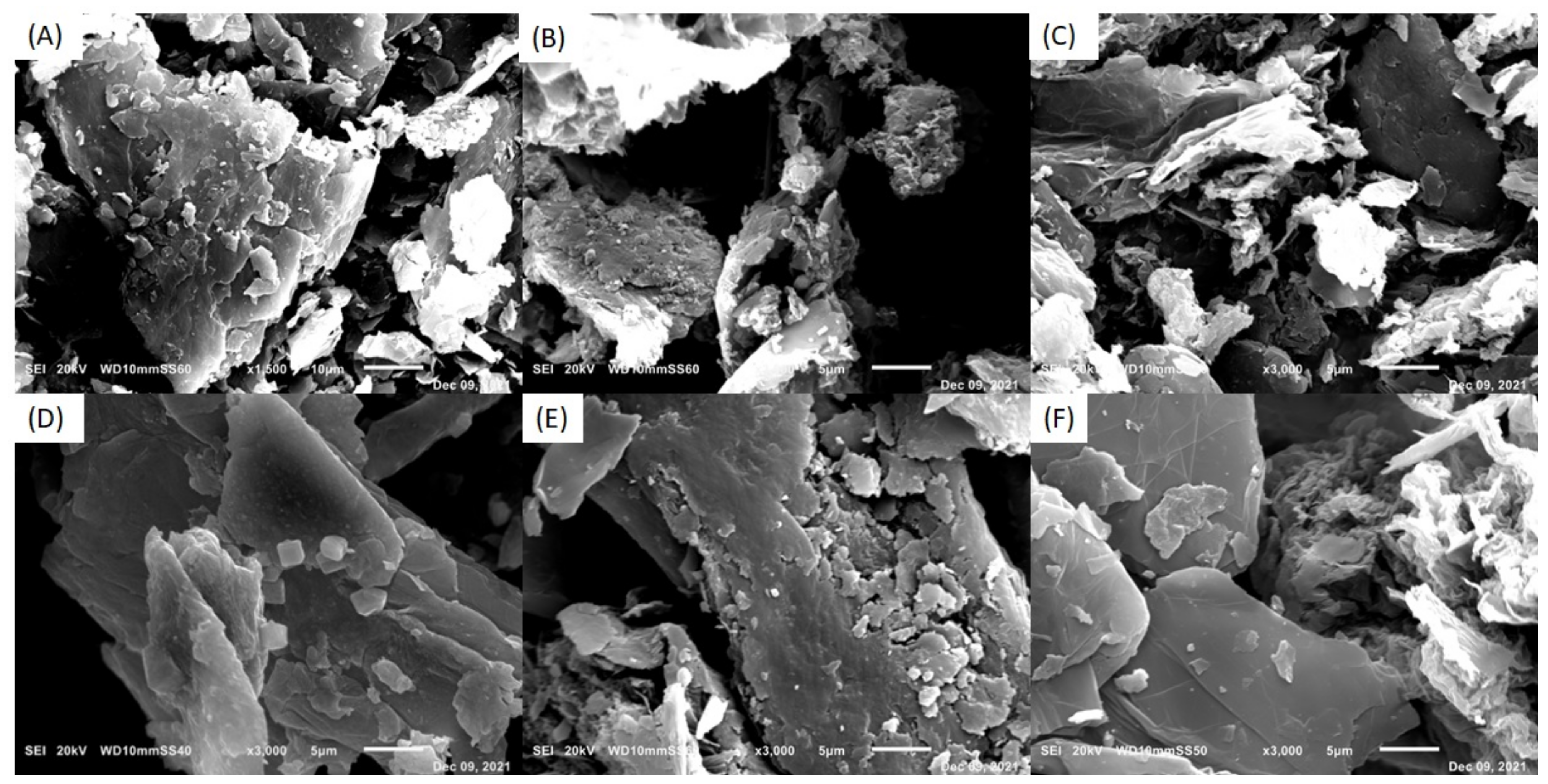 Carbon 09 00028 g006