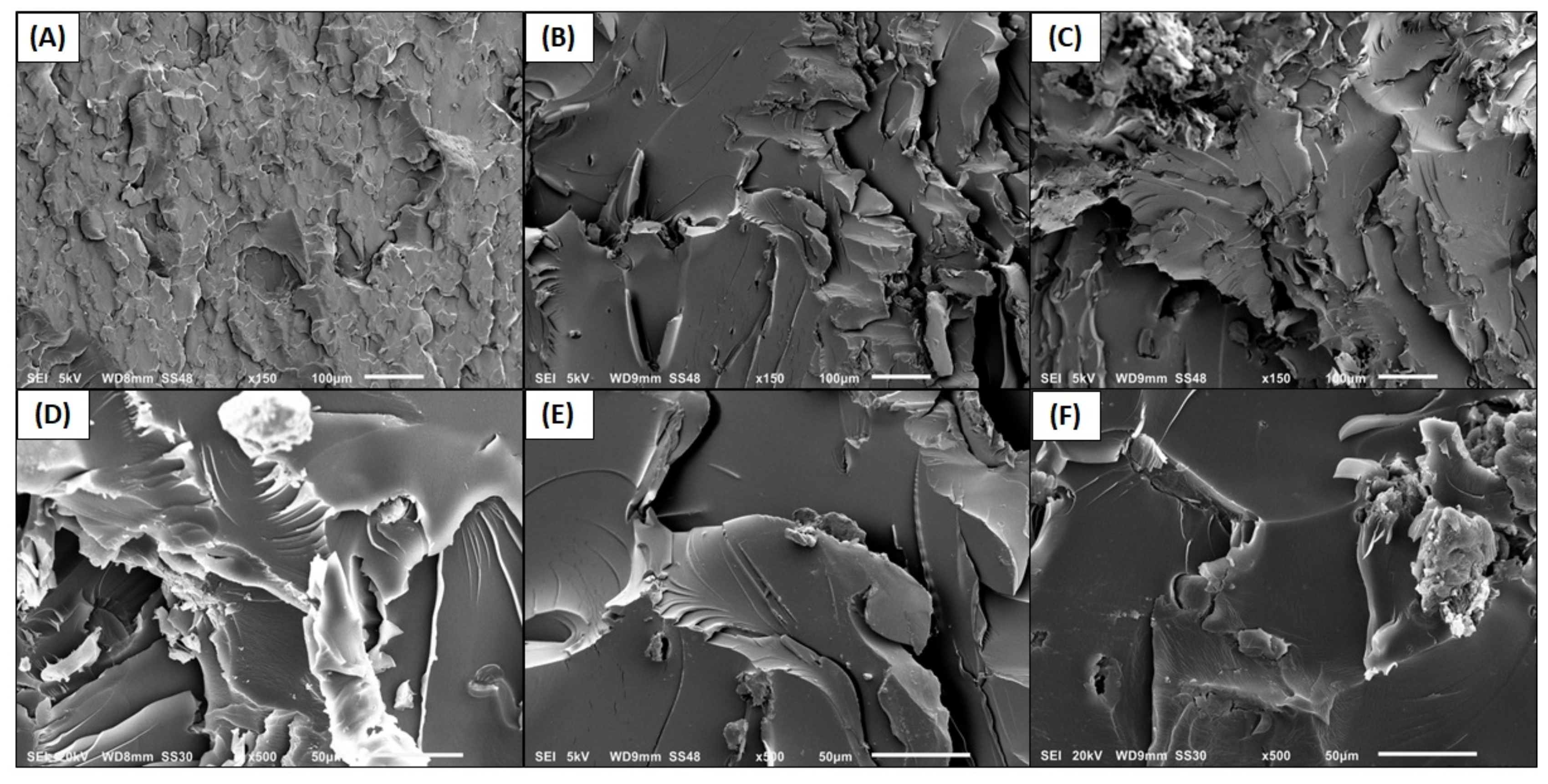 Carbon 09 00028 g010