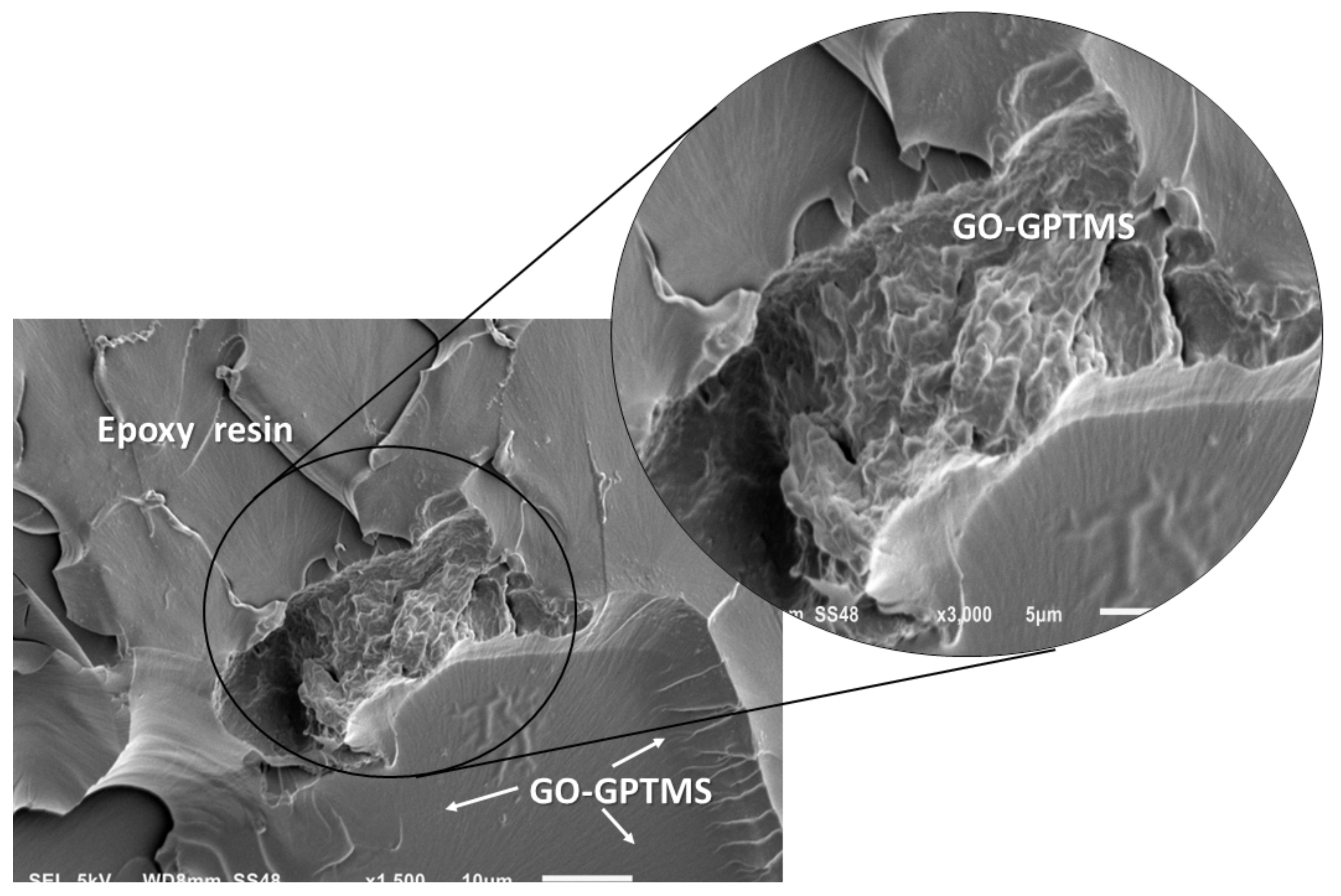 Carbon 09 00028 g011