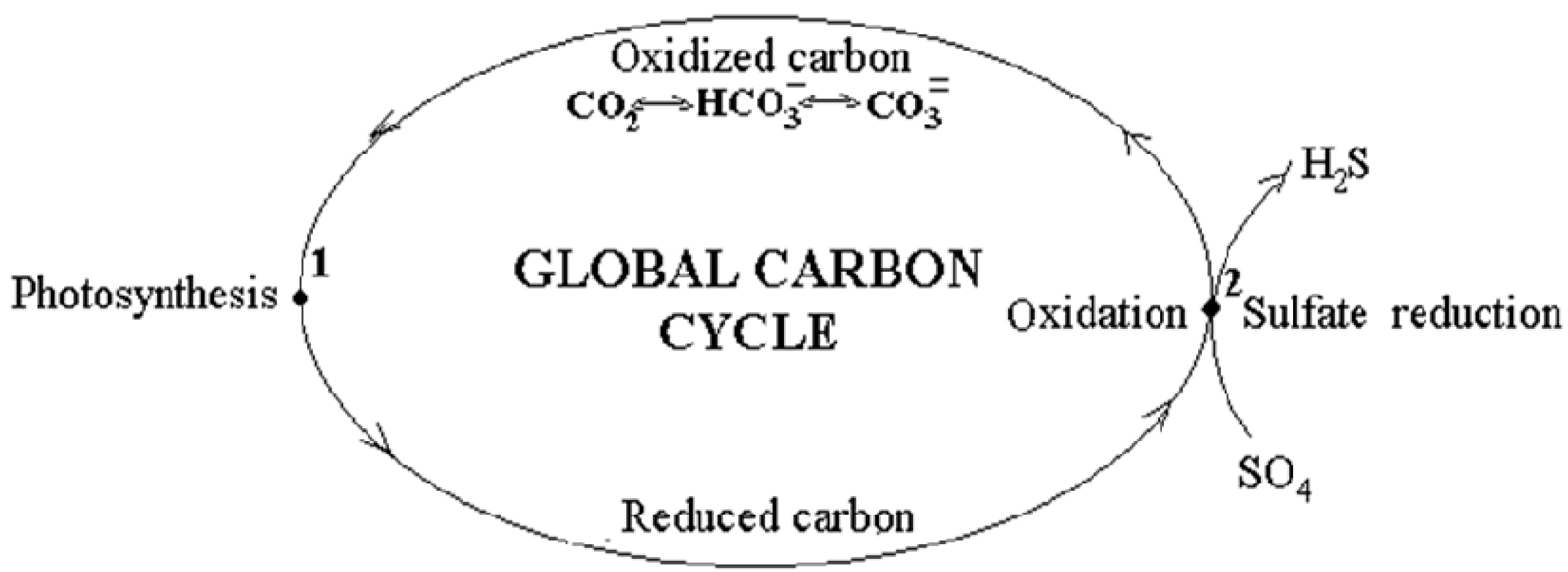 Carbon 09 00053 g001