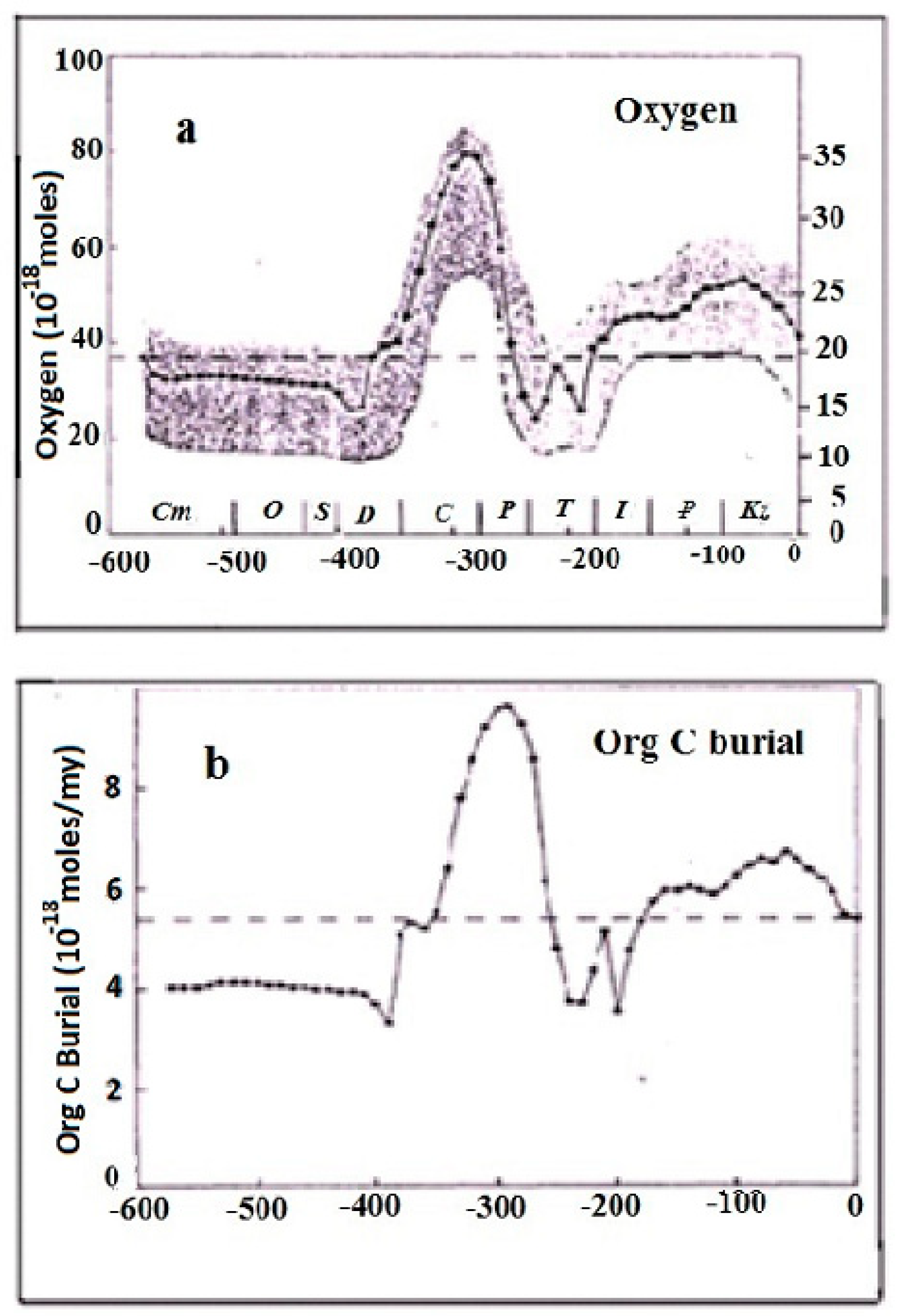 Carbon 09 00053 g003