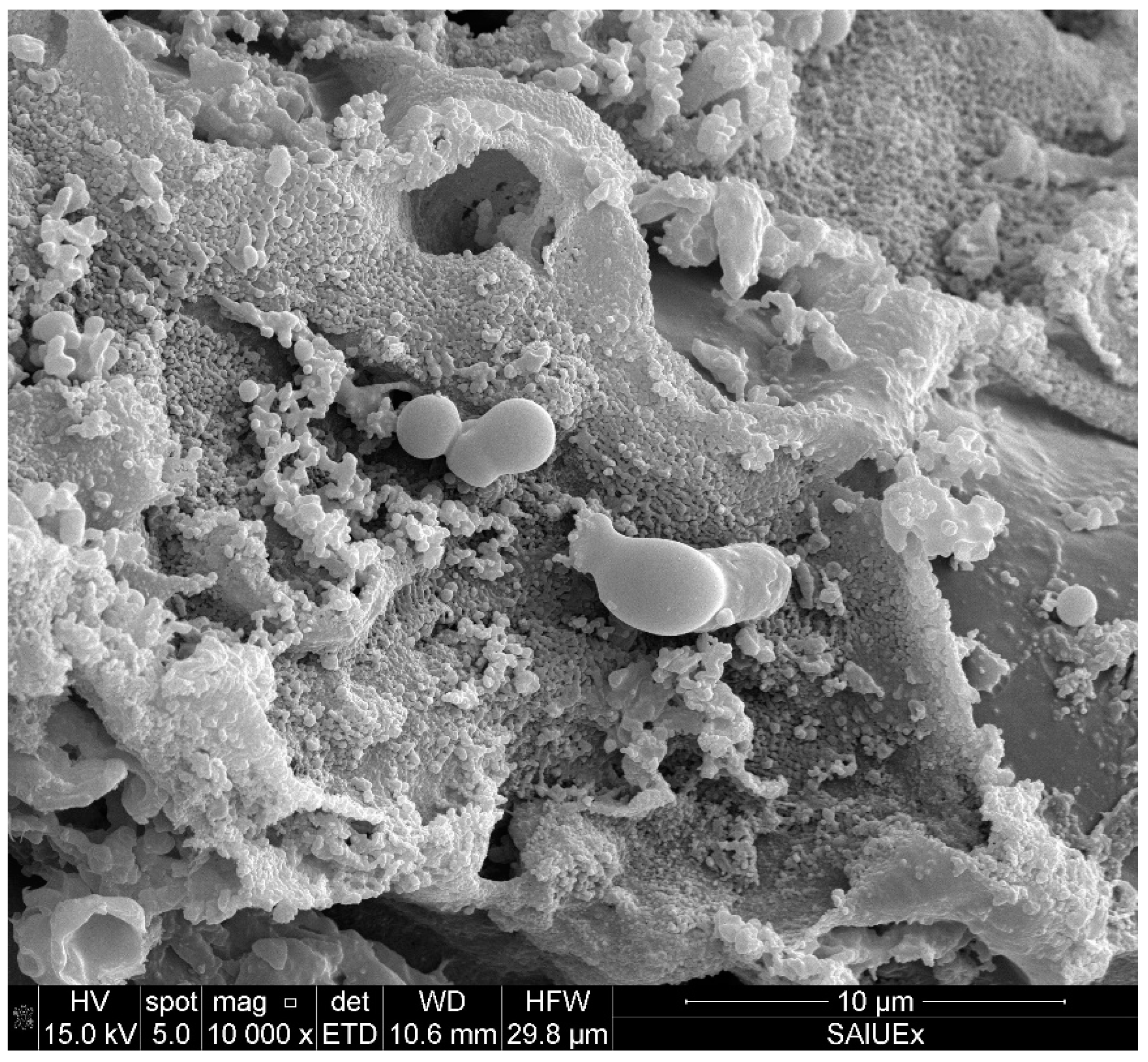 Carbon 09 00057 g008