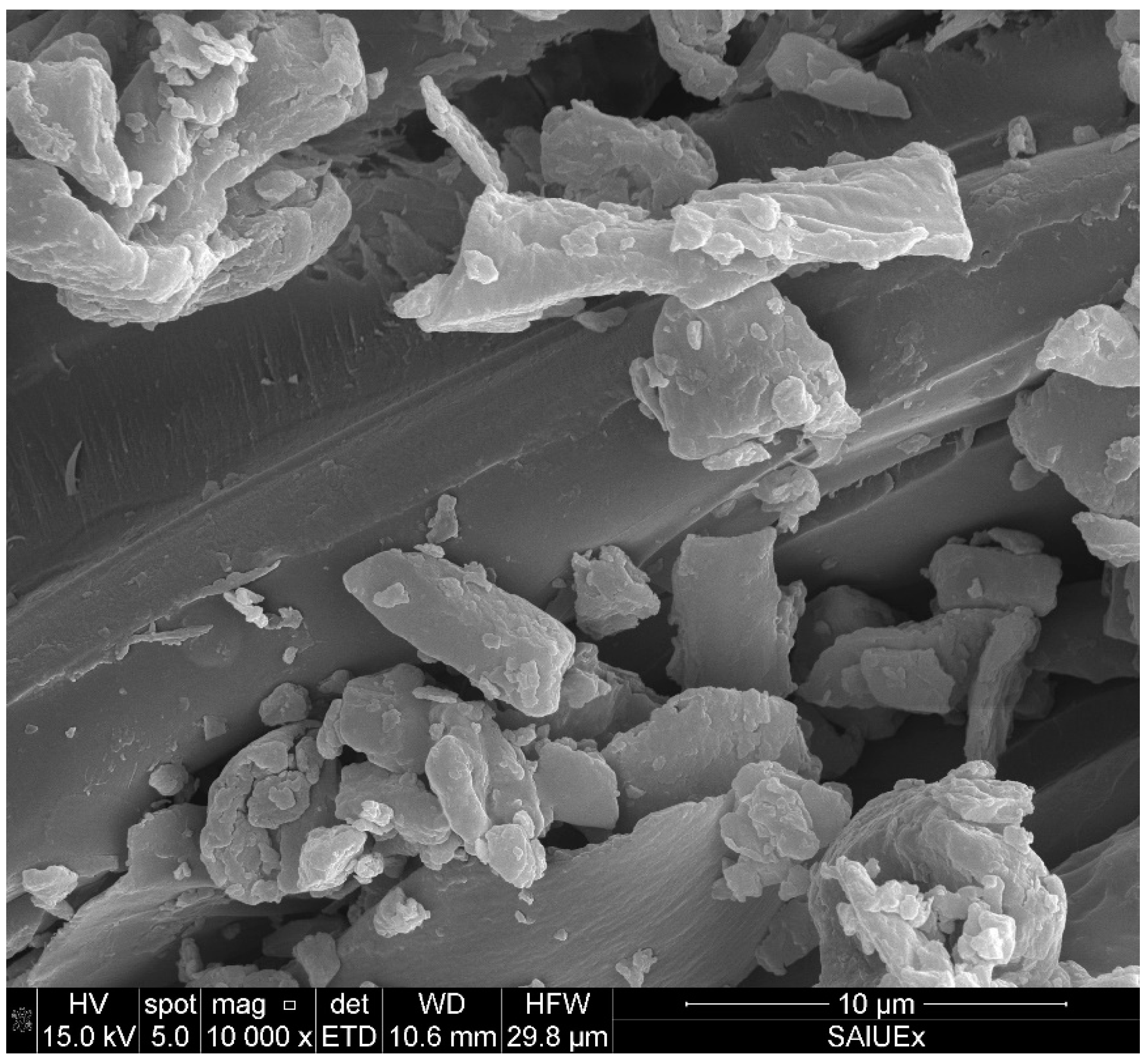 Carbon 09 00057 g010