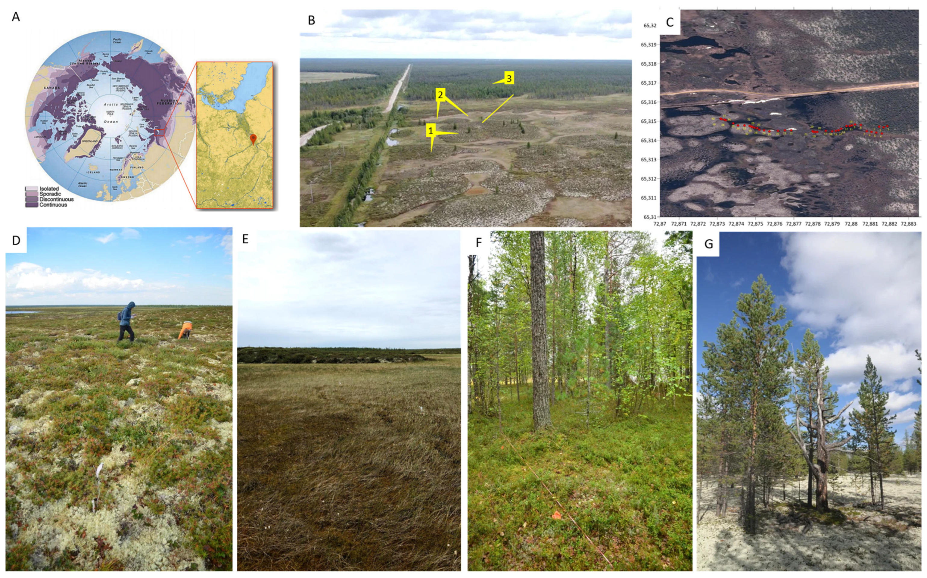 Carbon 09 00058 g001